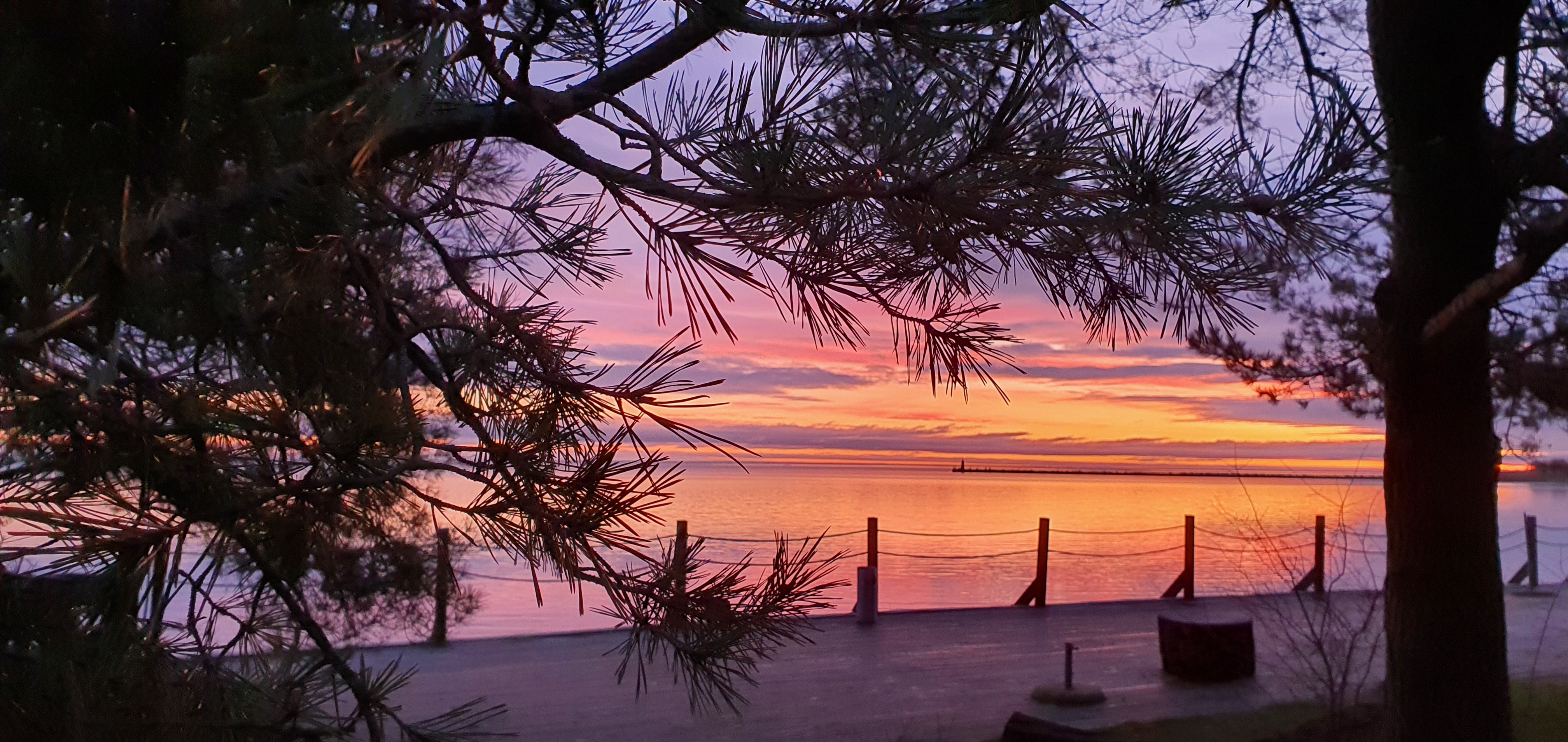 Фото Альтримо