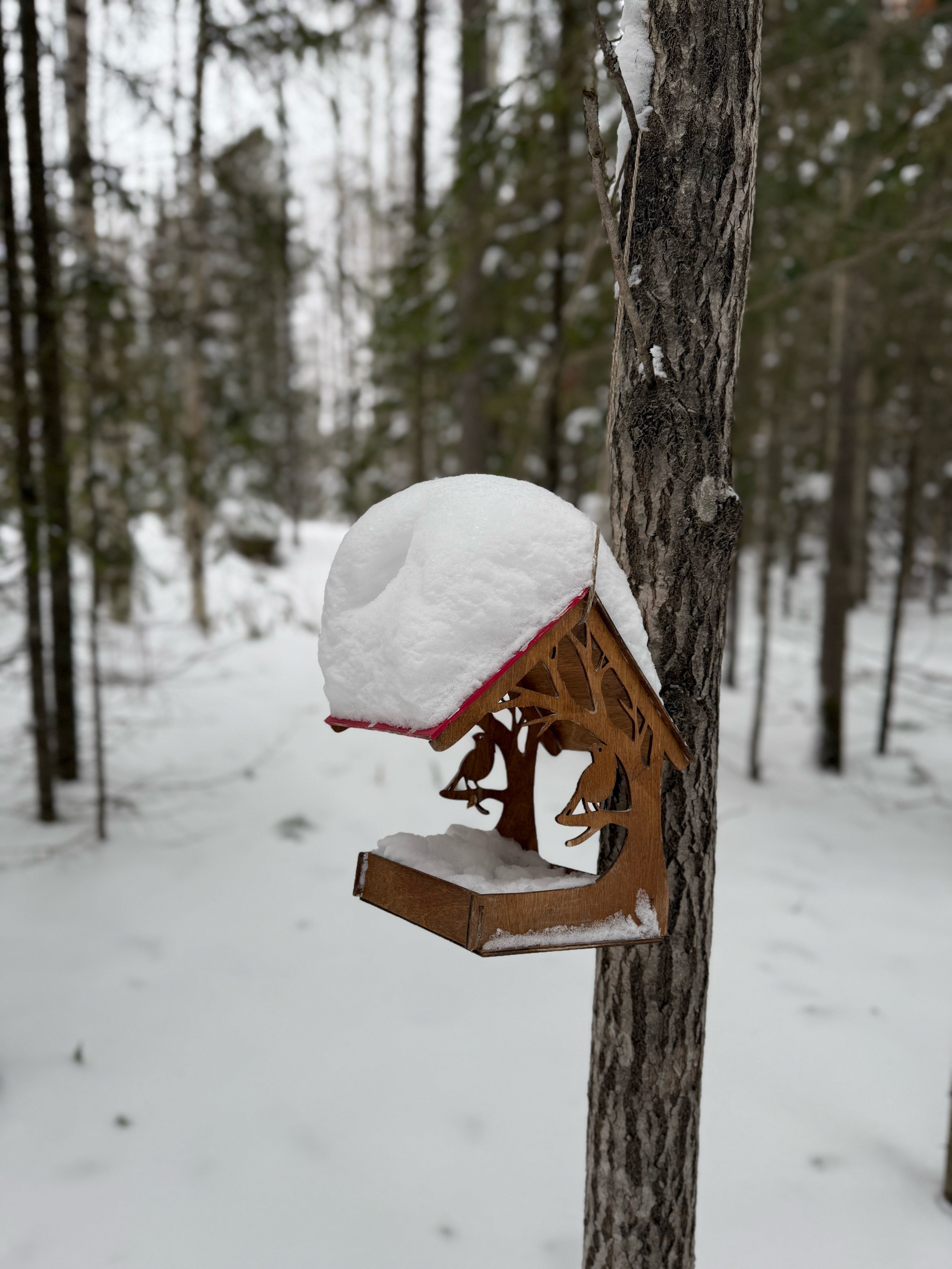 Фото Мама, я на даче