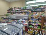 Продуктовый магазин (Detskoselskiy Boulevard, 5), grocery
