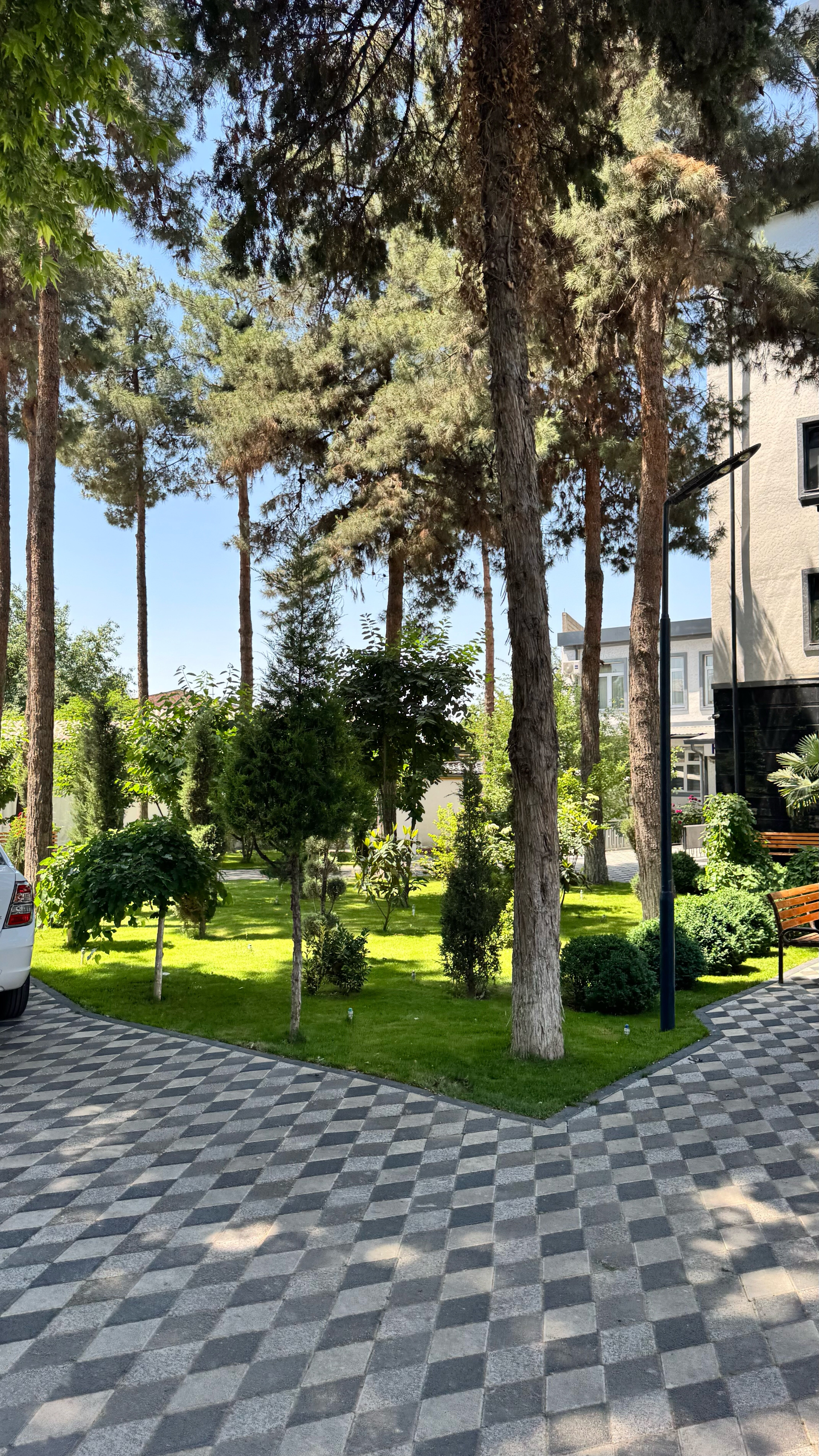 Фото Dsf Garden Hotel