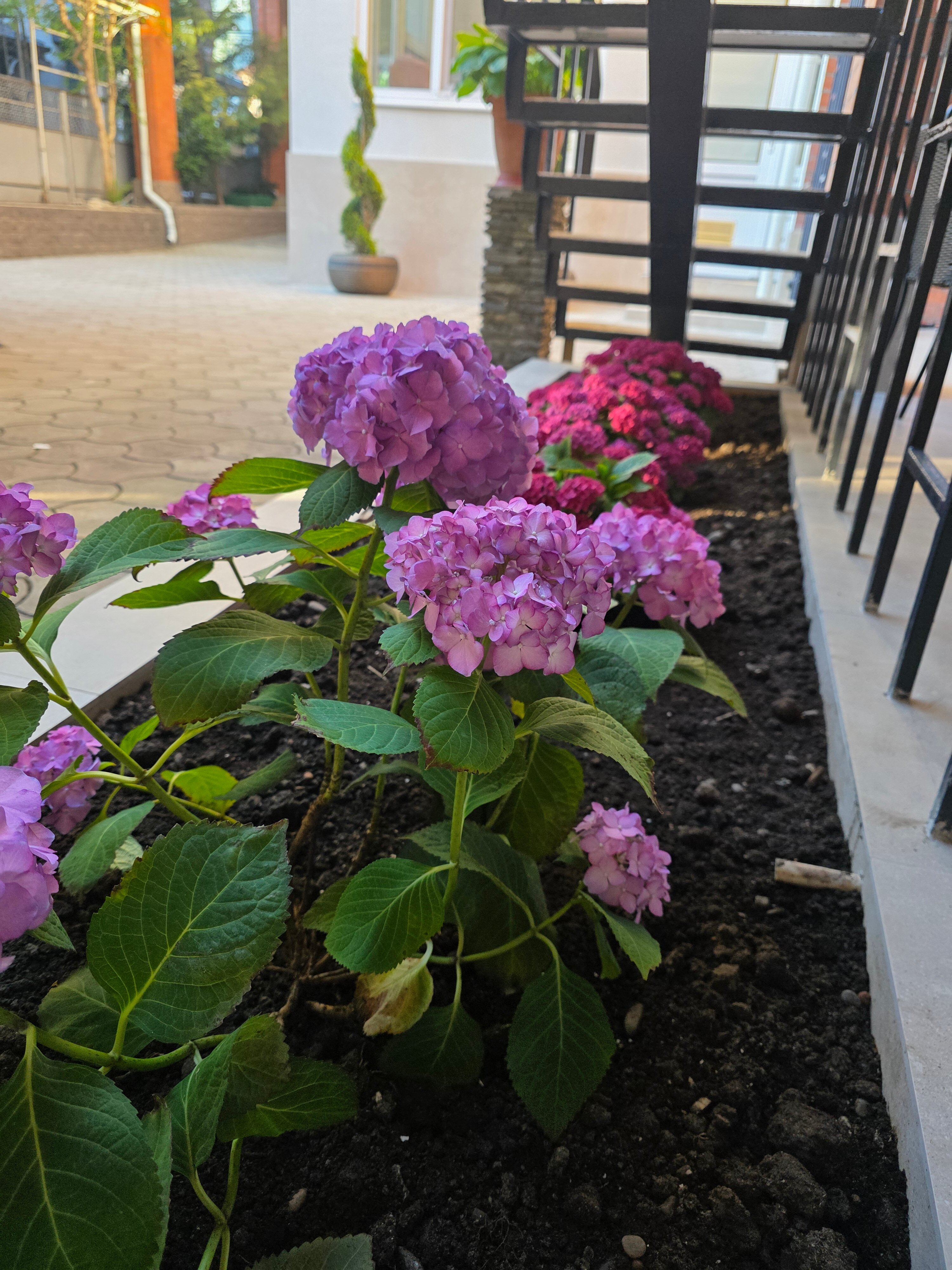 Фото Гостевой дом Цитрус