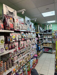 Зоомагазин (Zvyozdnaya Street, 16), pet shop