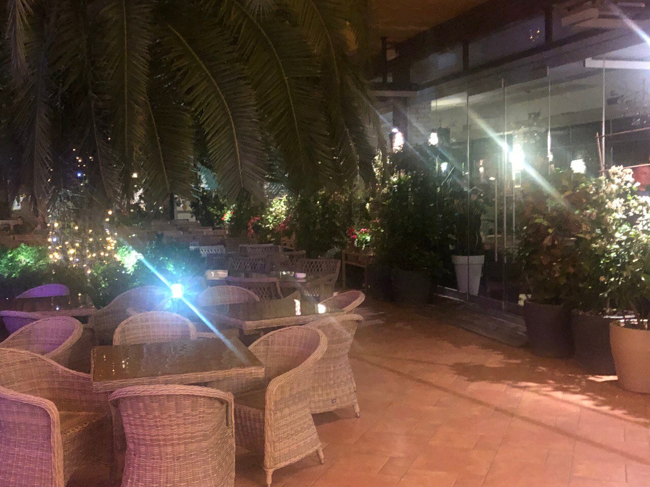 Фото Кармен