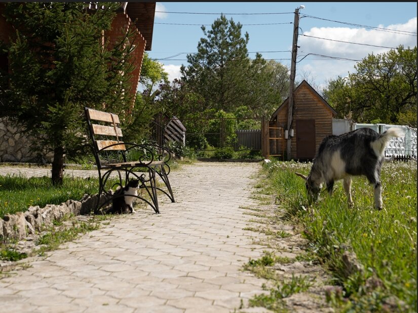 Фото Хуторок