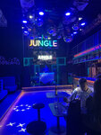 Jungle (Karla Marksa Avenue, 18к4), club de karaoke