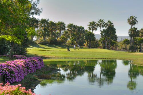 Гостиница Hotel Las Madrigueras Golf Resort & SPA
