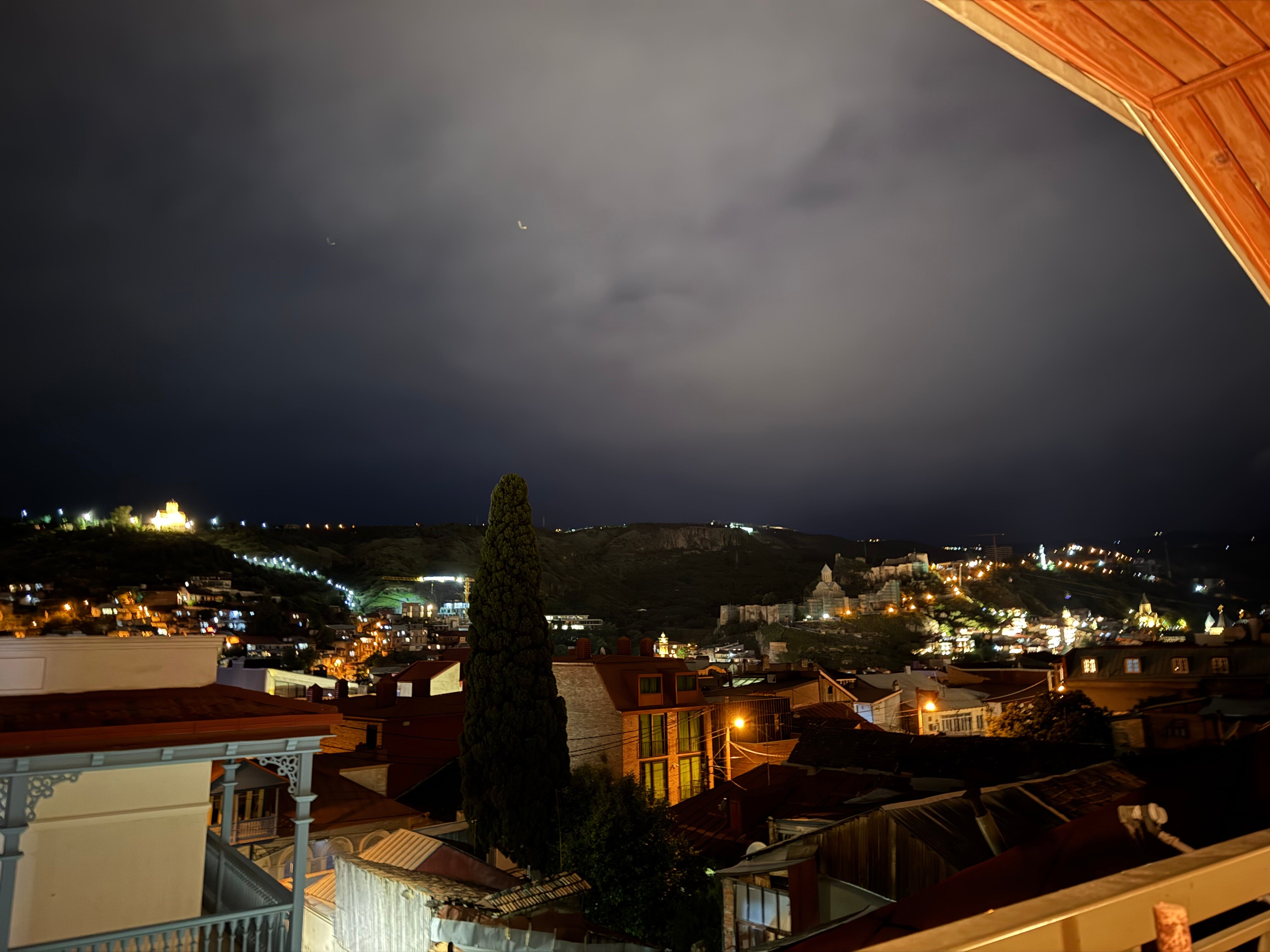 Фото Фламинго