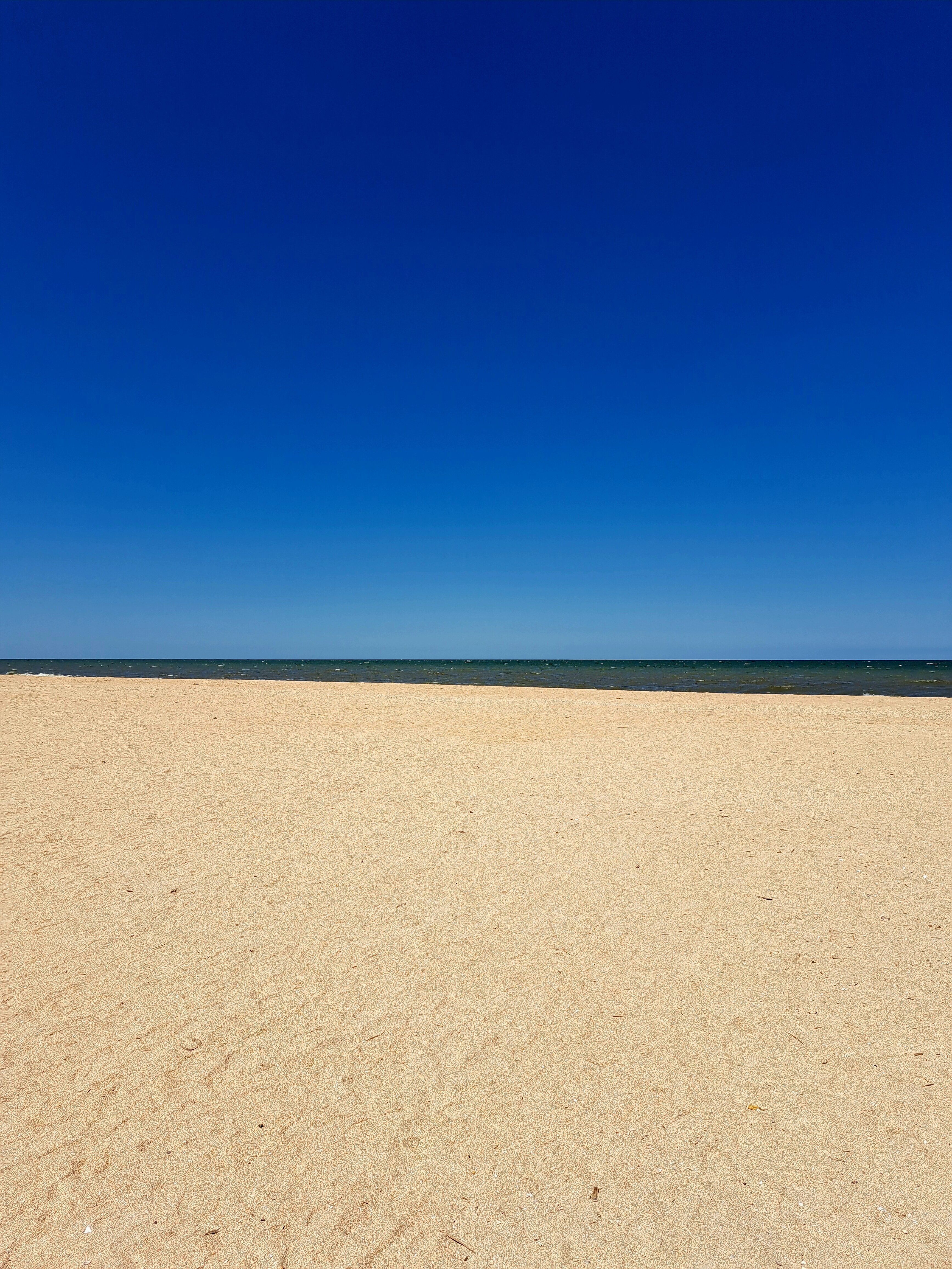 Фото Добрый хозяин