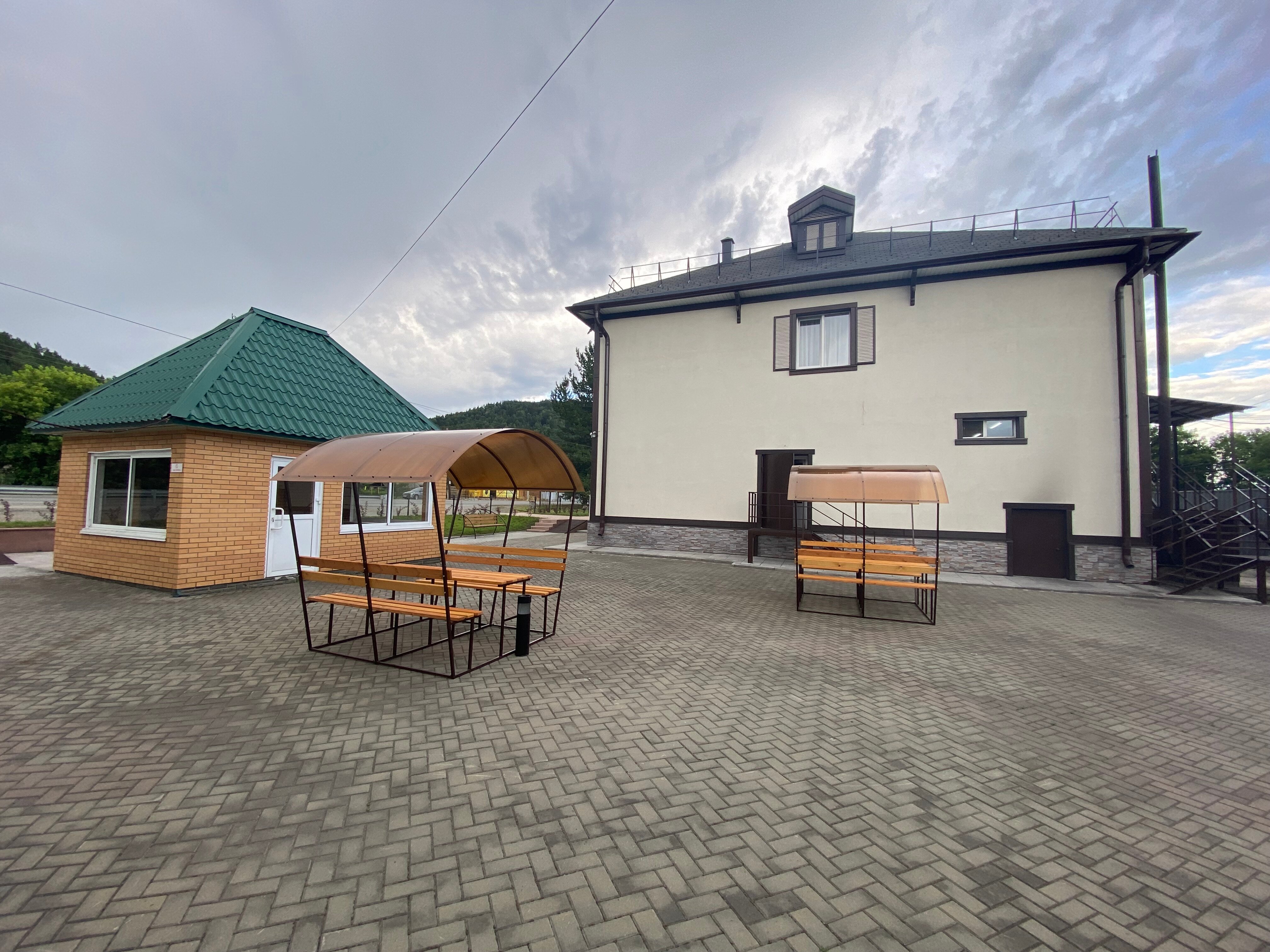 Фото Берёзка