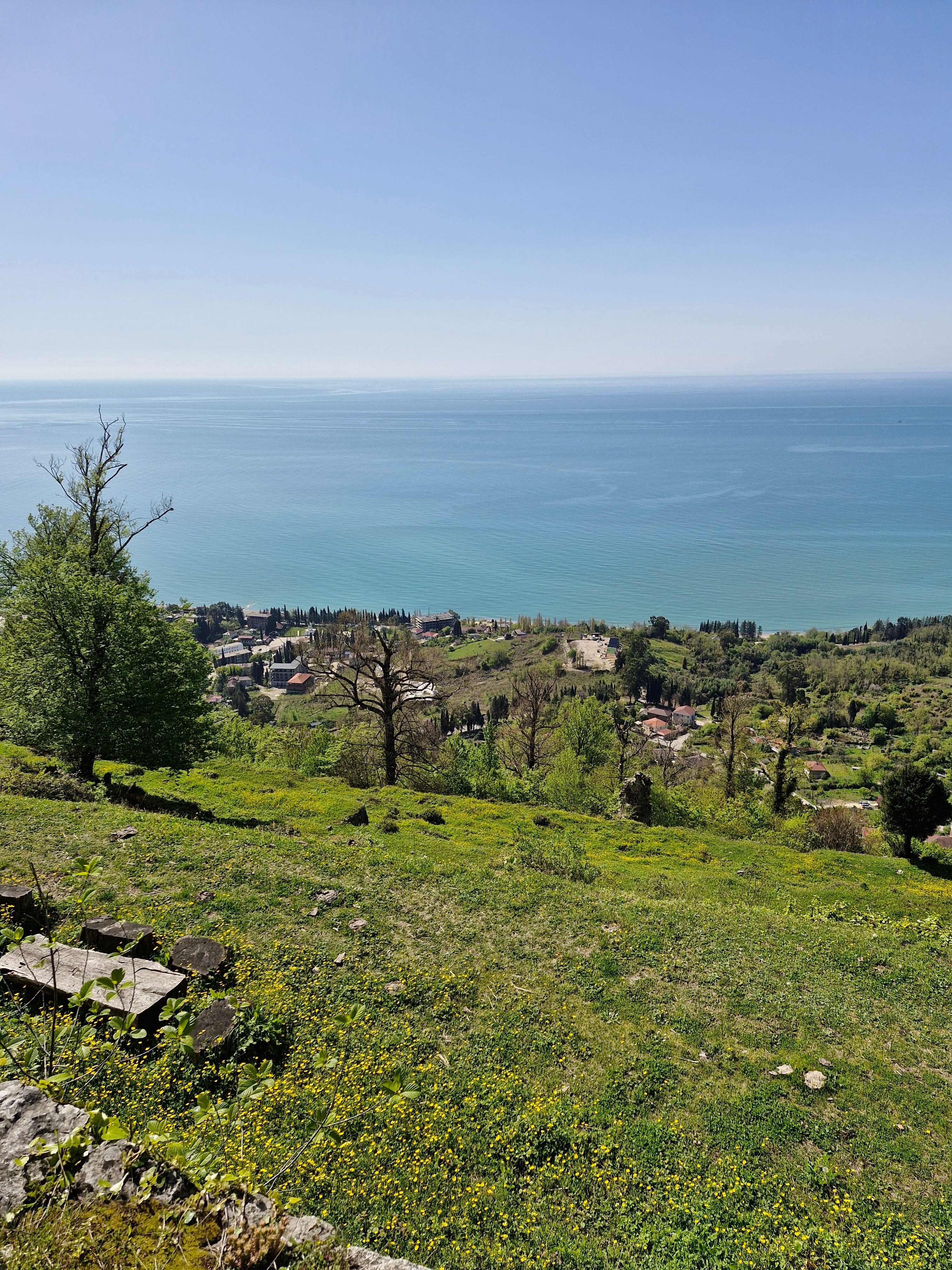 Фото Курортный отель Афон