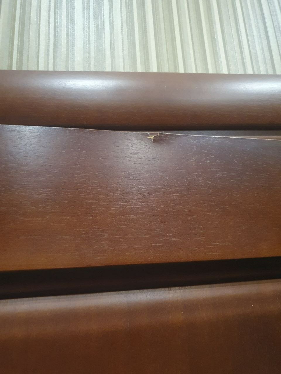 Фото Европейская