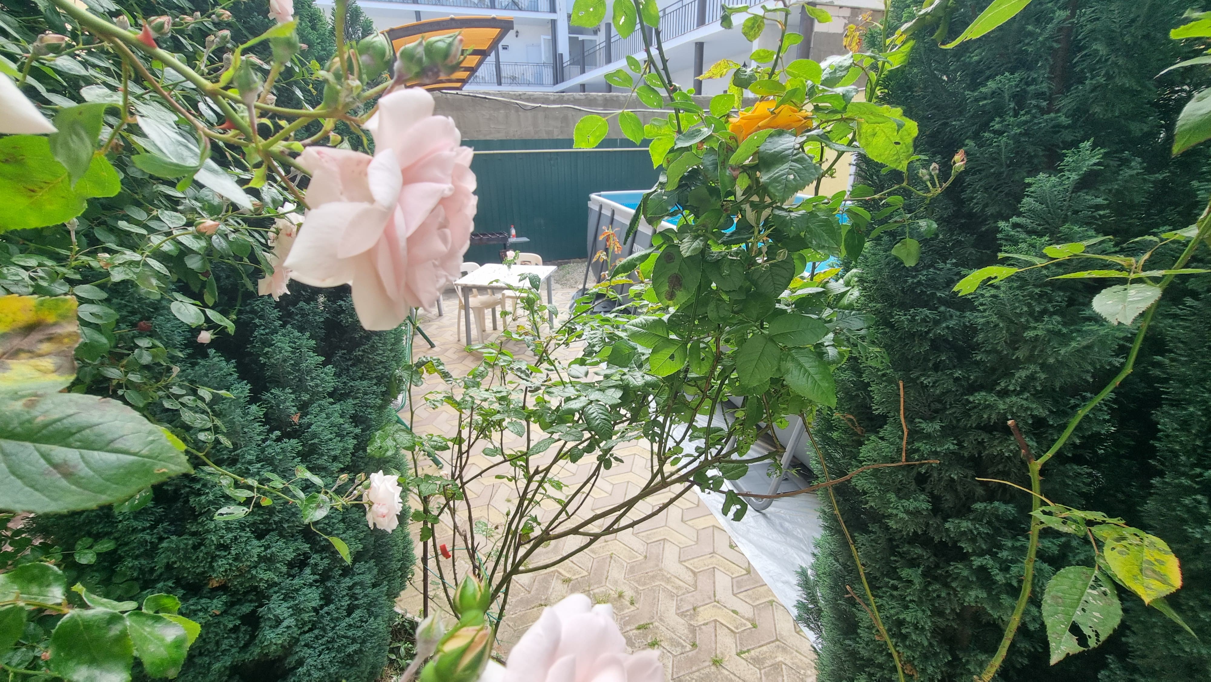 Фото Гагарин