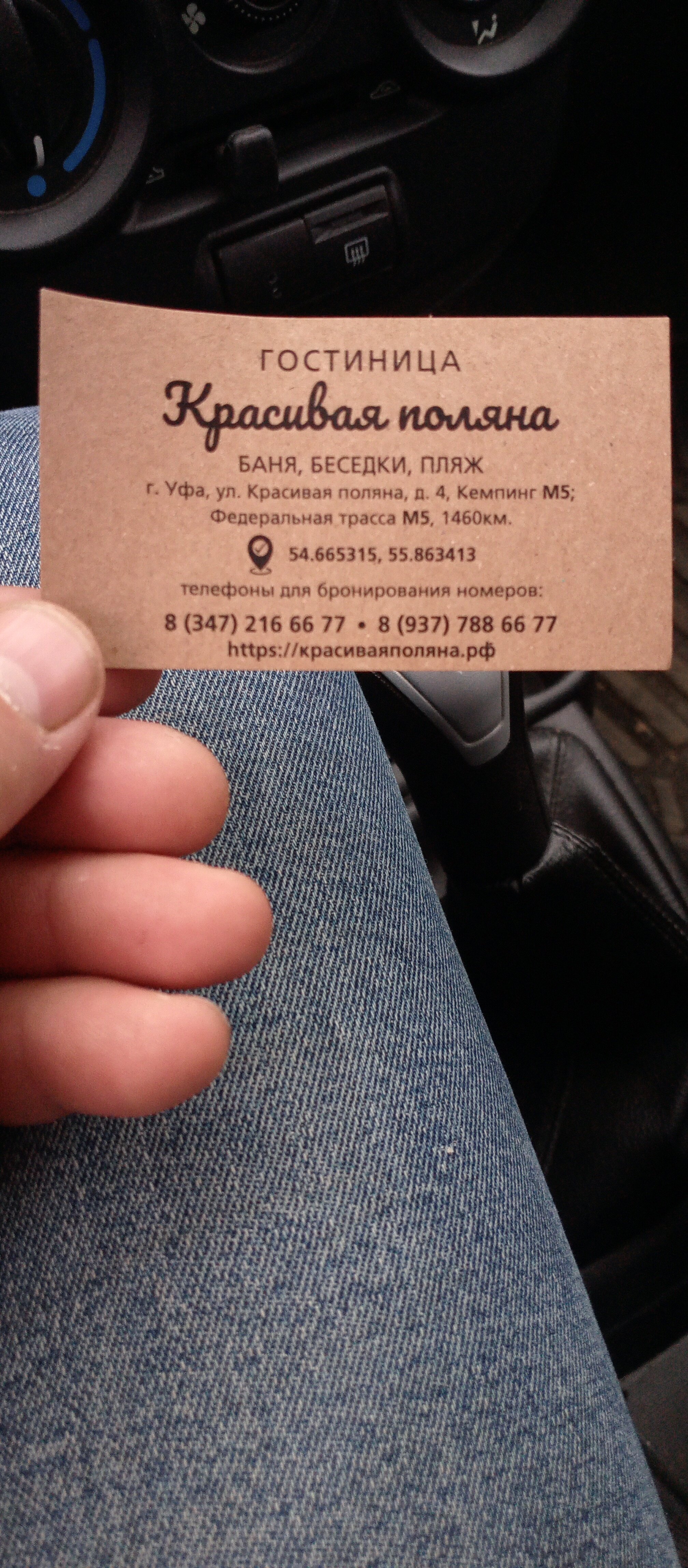 Фото Красивая поляна