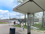 Станция Лесной Городок (Moscow Region, Odintsovskiy Urban District, posyolok gorodskogo tipa Lesnoy Gorodok), public transport stop