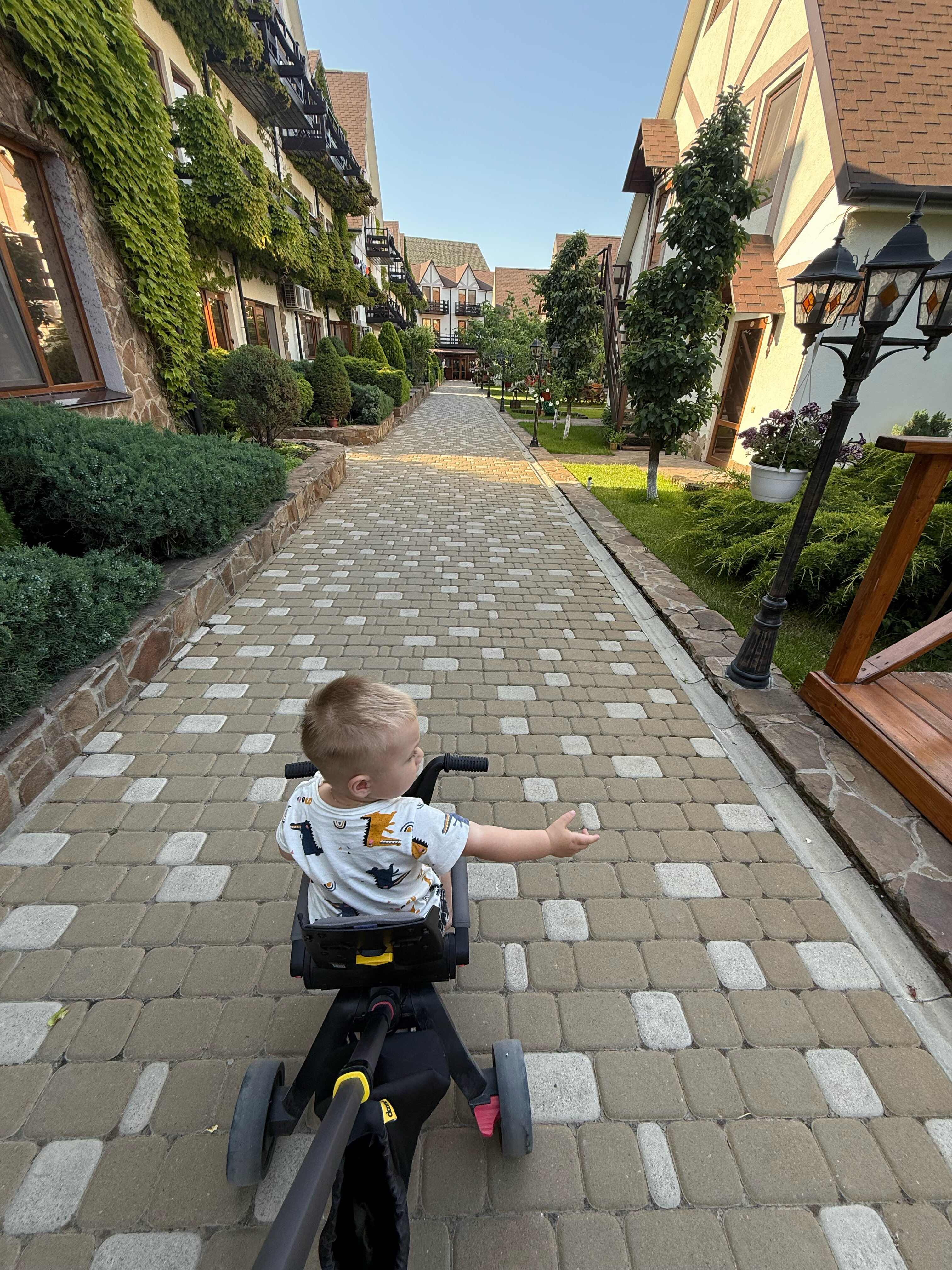 Фото Альпийская долина