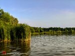 Perlyovsky prud (Voronezh Region, Semilukskiy rayon, Perlyovskoye selskoye poseleniye), hunters and fishers clubs