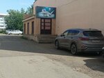 Федерация спортивной борьбы (Lenina Street, 56Б), sports club