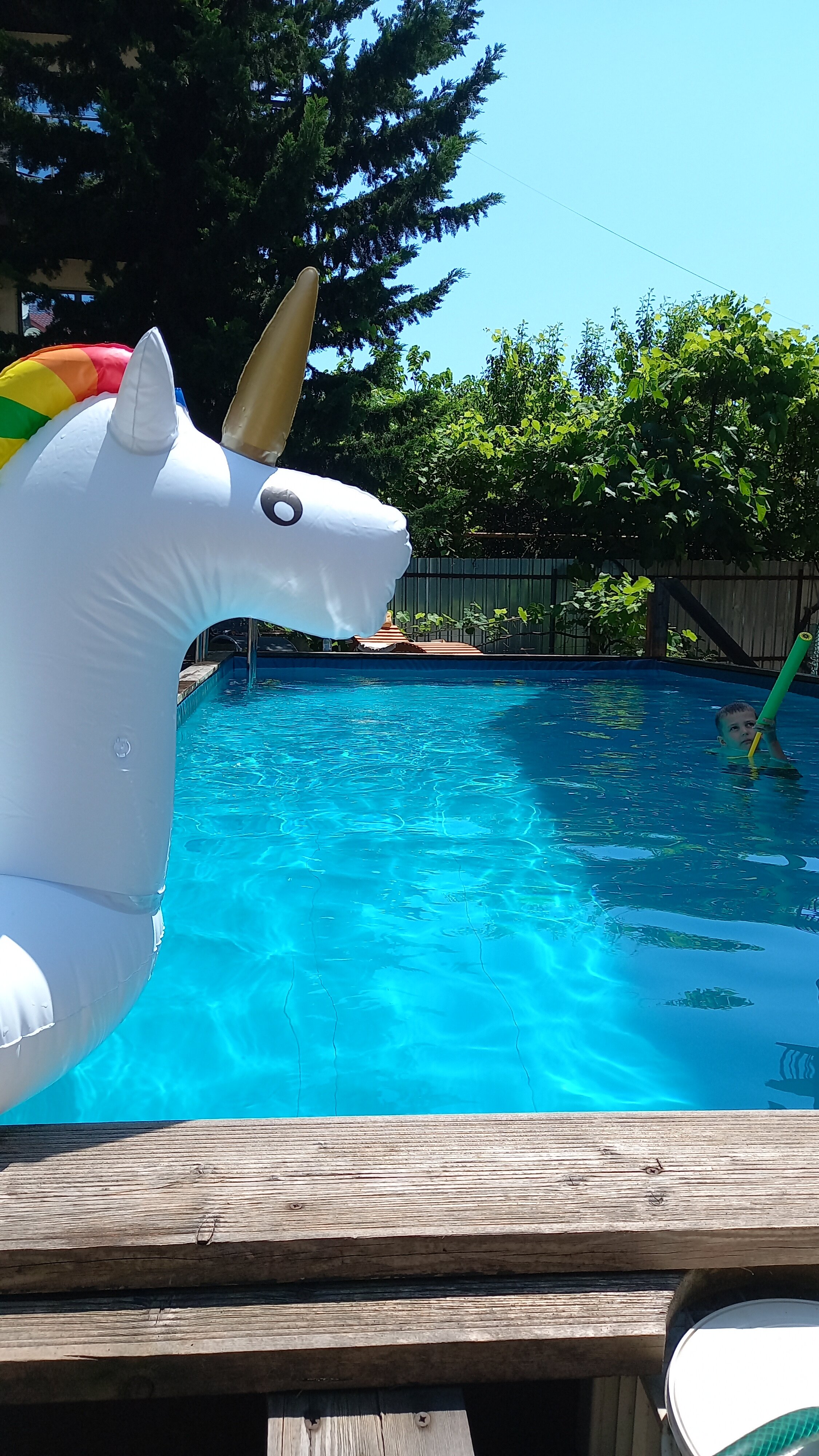 Фото Остров Сочи