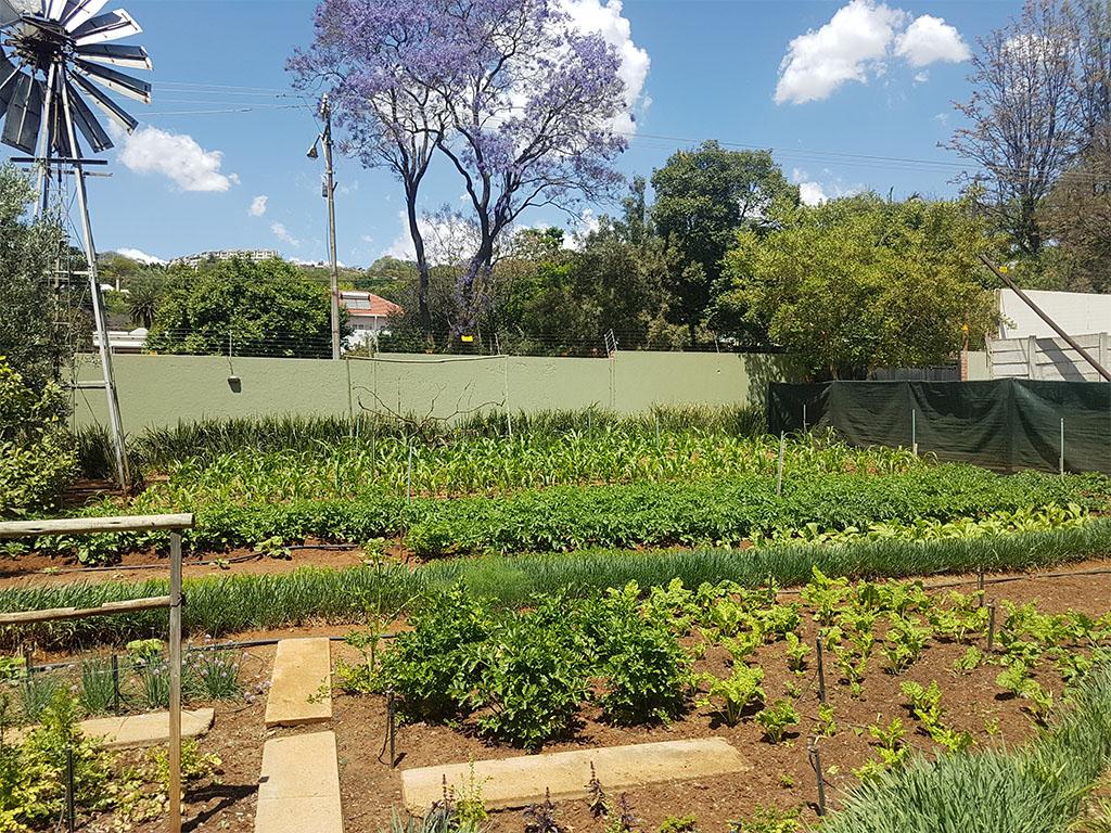 Фото Blackheath Manor Guest House