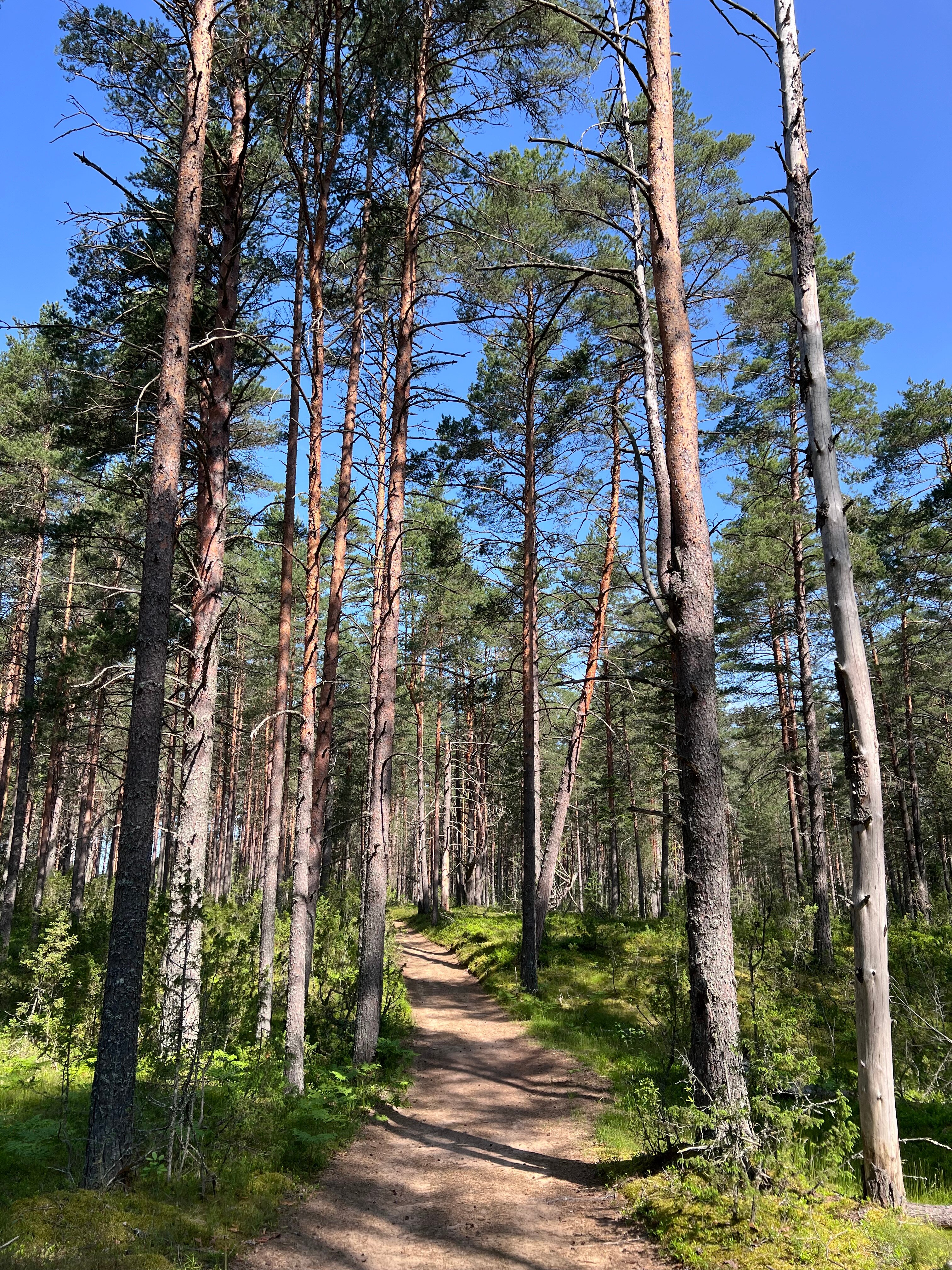 Фото Уникальный дом