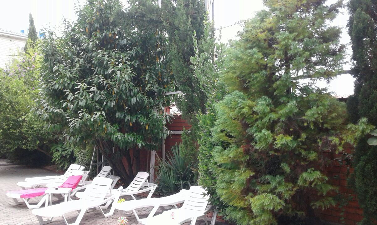 Фото У Моря