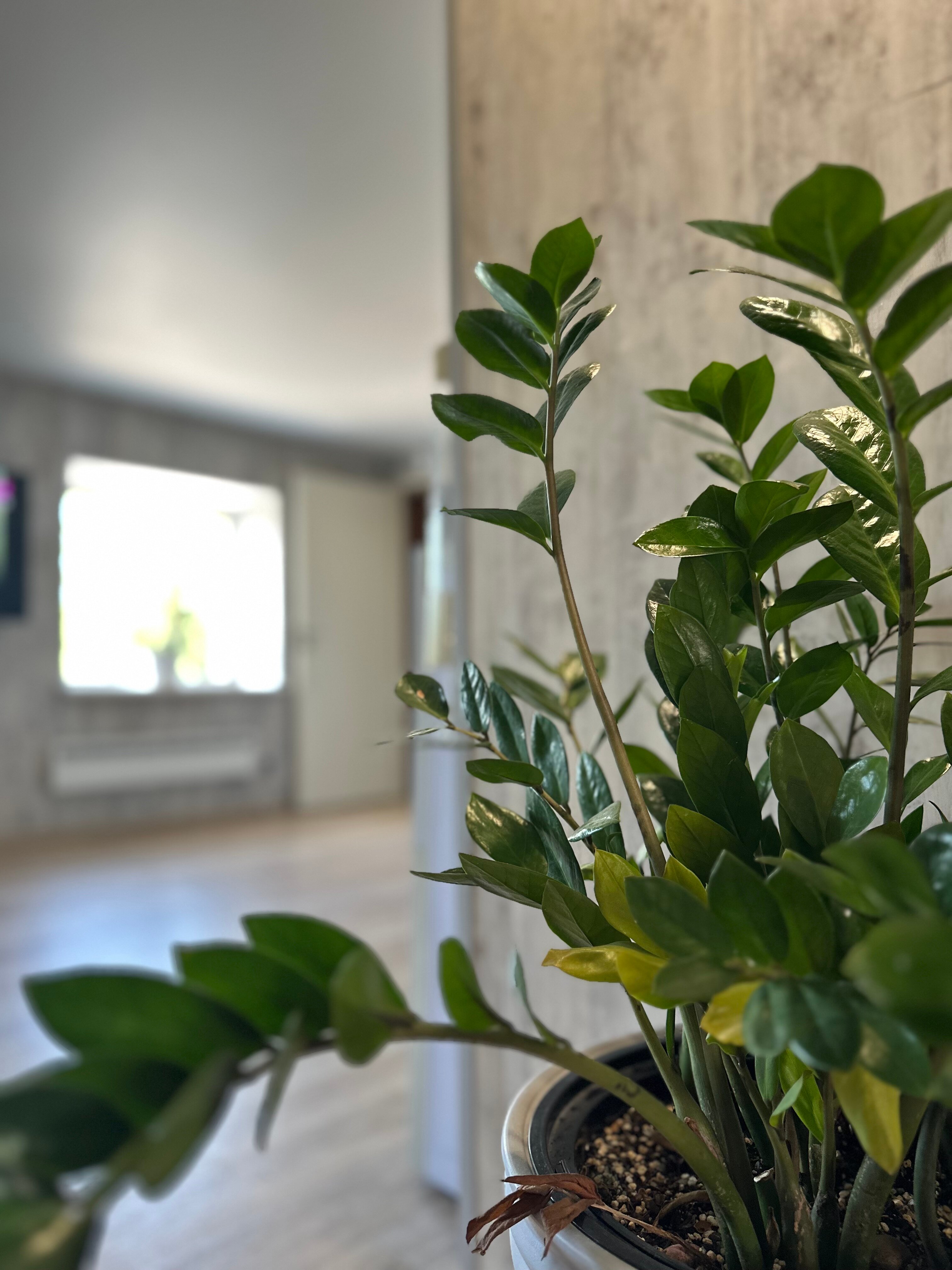 Фото Вернисаж