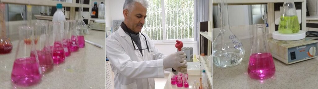 Research institute Egypt Research Institute Directorate, Arifiye, photo