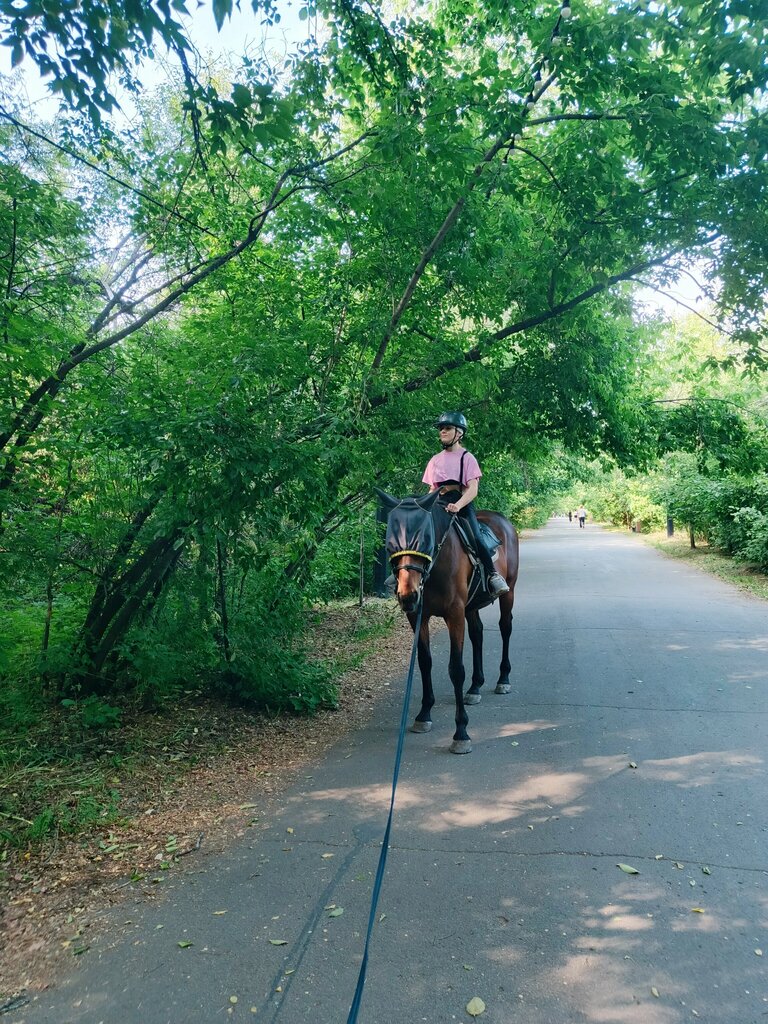 ركوب الخيل Konnosportivny klub Garmoniya ، تشيليابينسك، صورة