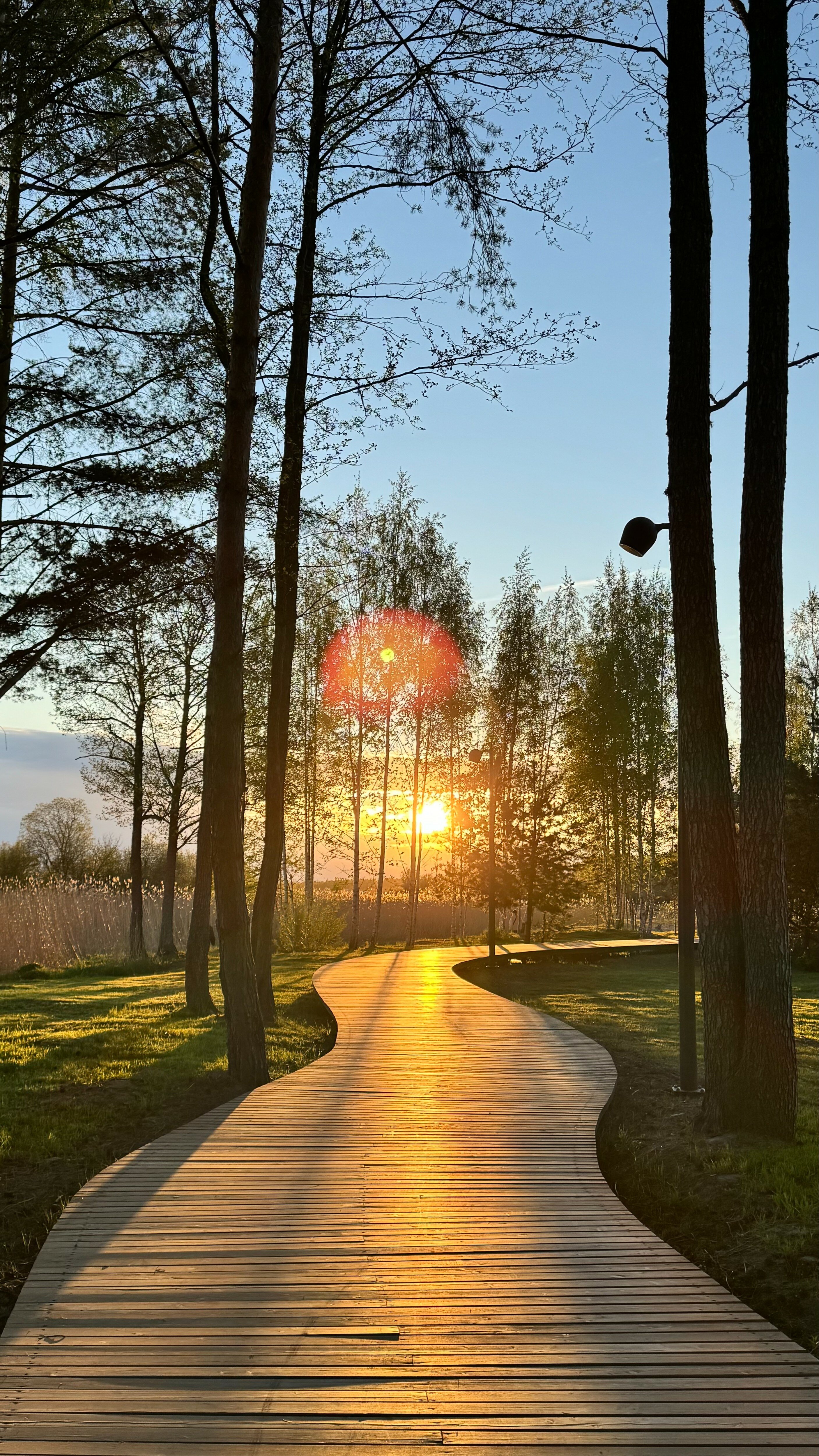 Фото Лесная Ривьера