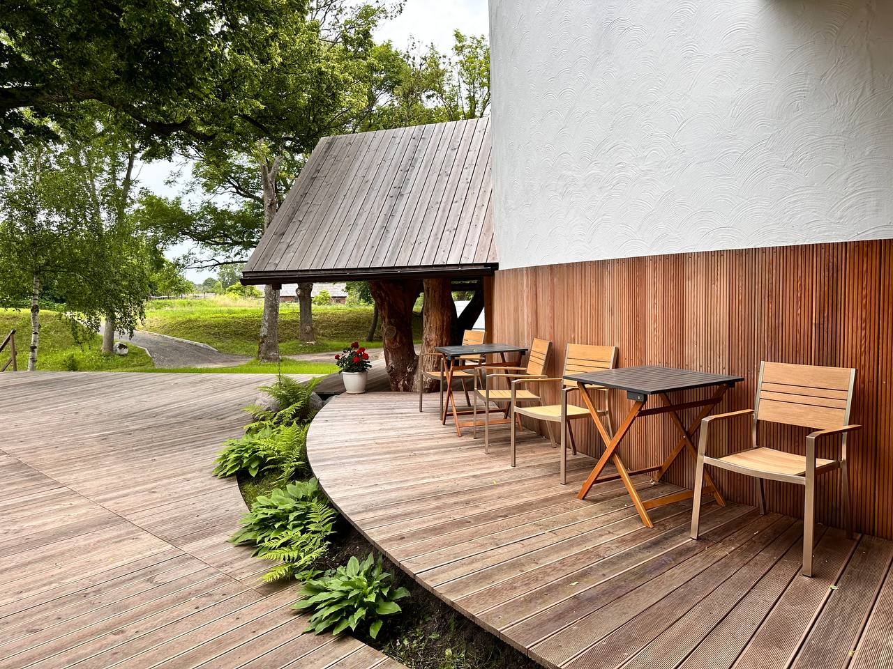 Фото Белый филин