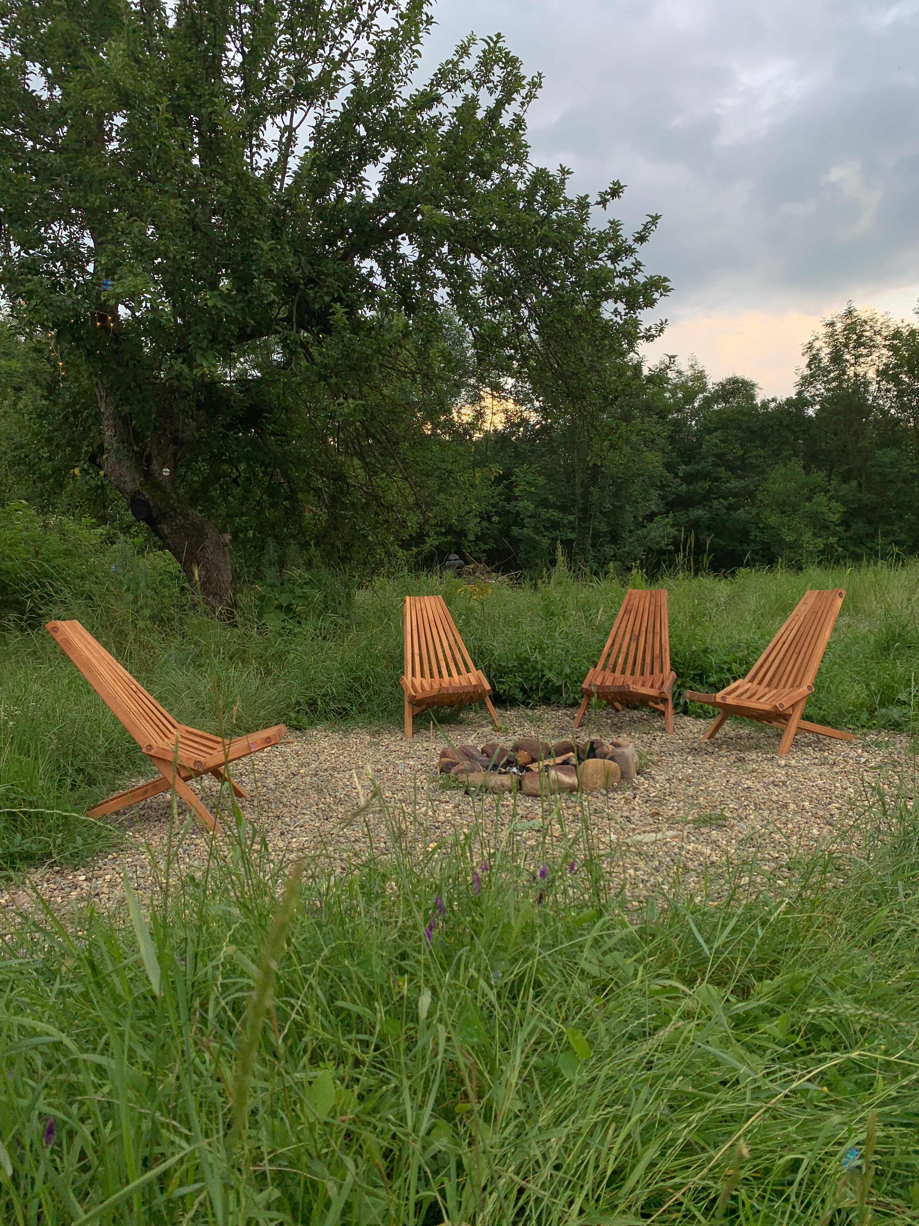 Фото Тихий Лес