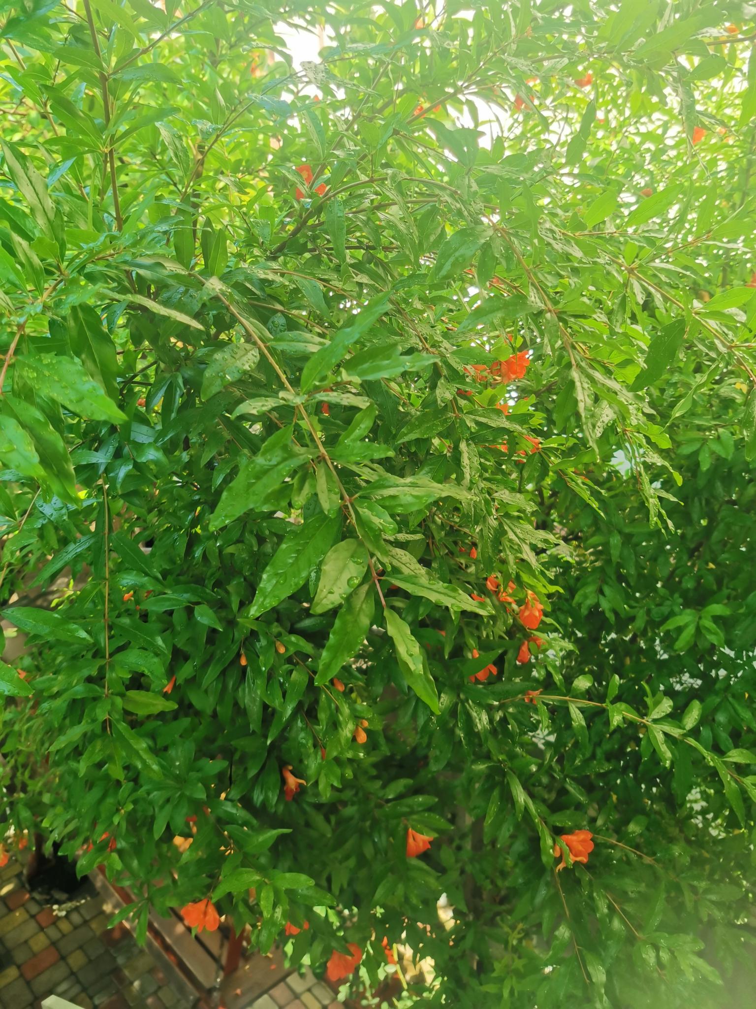 Фото Елисеевский