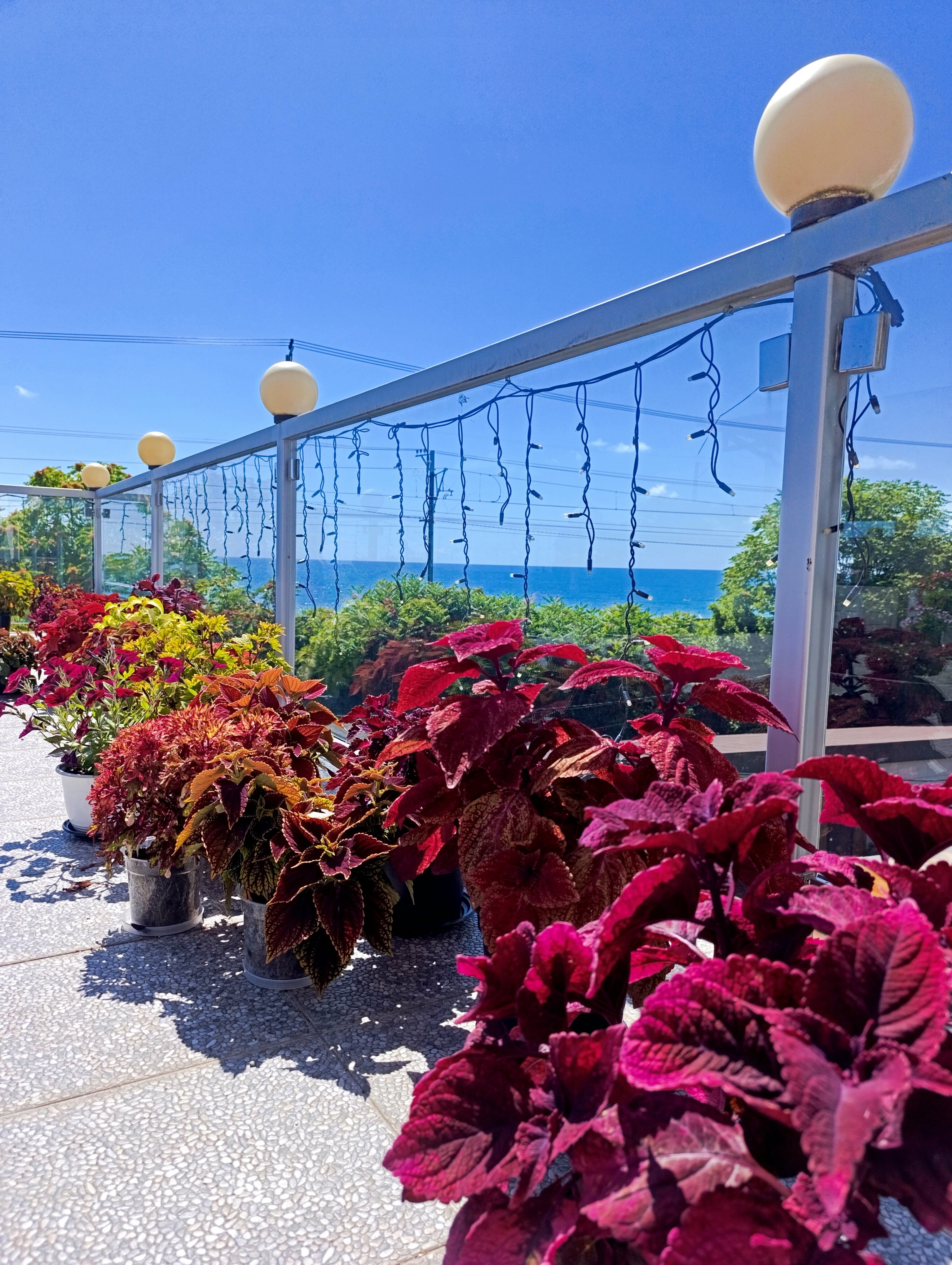 Фото Вилла Сохо