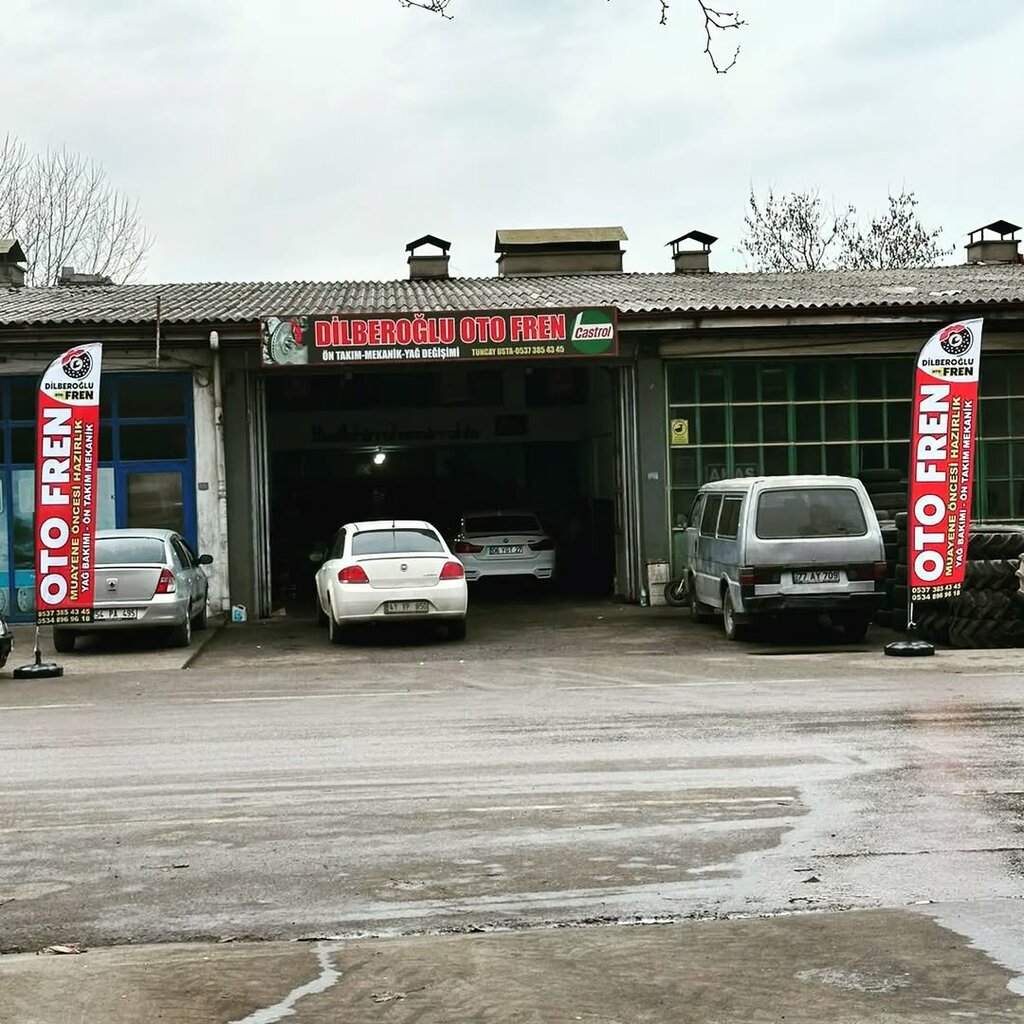 Car service, auto repair Dilberoglu Auto Brake, Karasu, photo