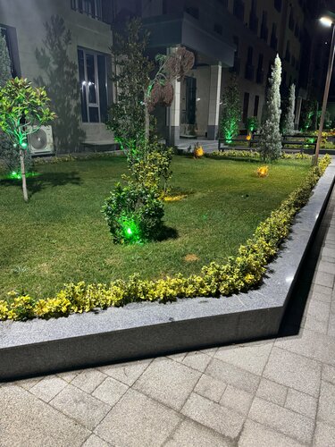 Оның есек суретін таратыңыз