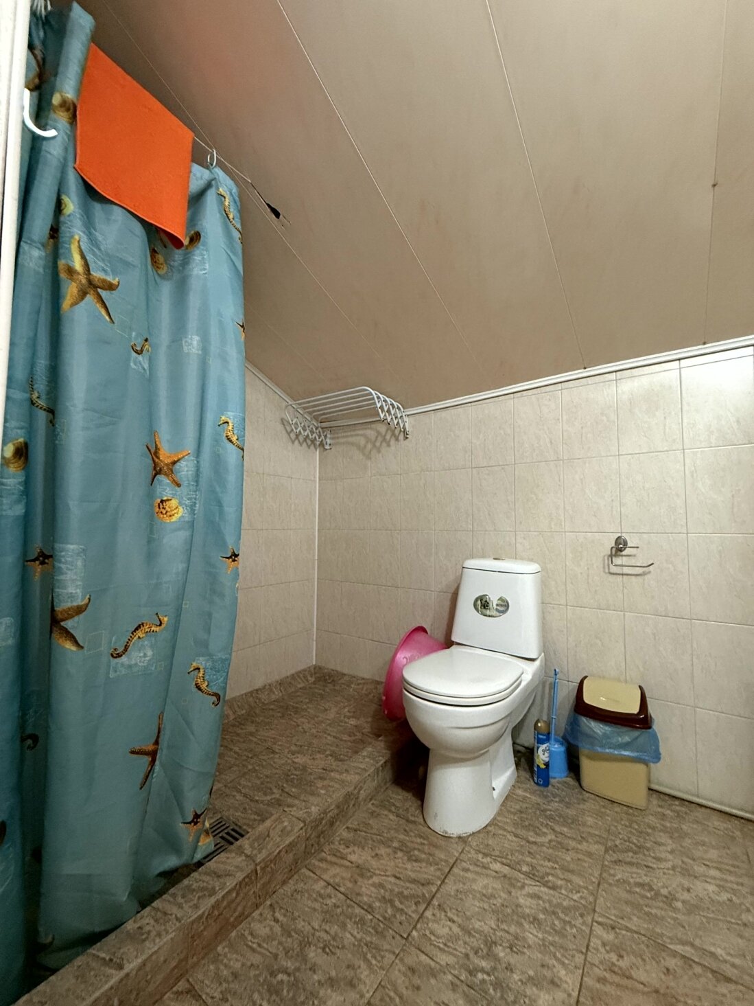 Фото Золотая рыбка