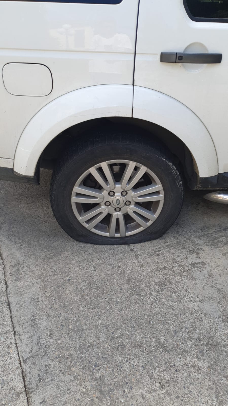 Фото Орхидея Парк