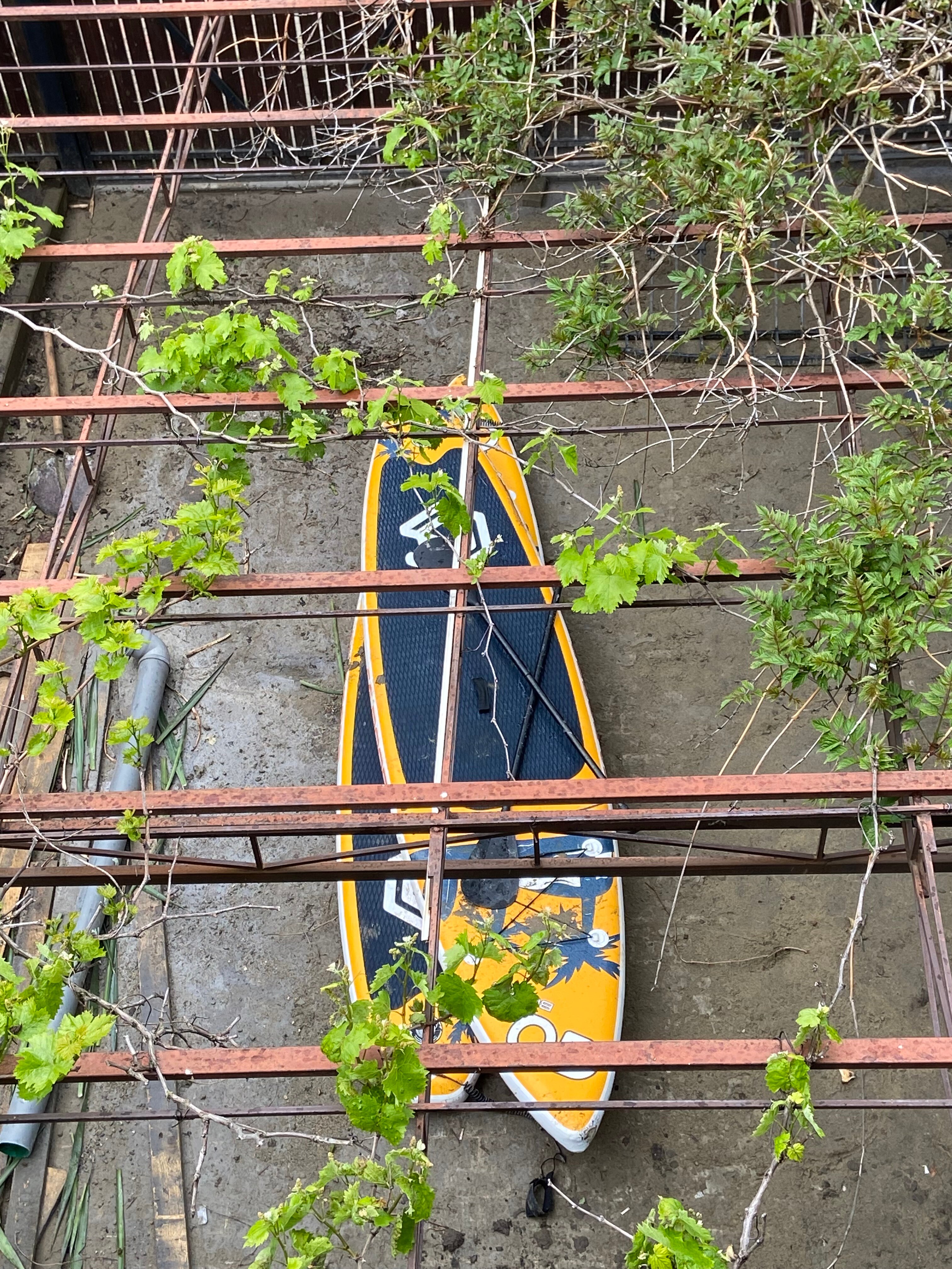 Фото Европа