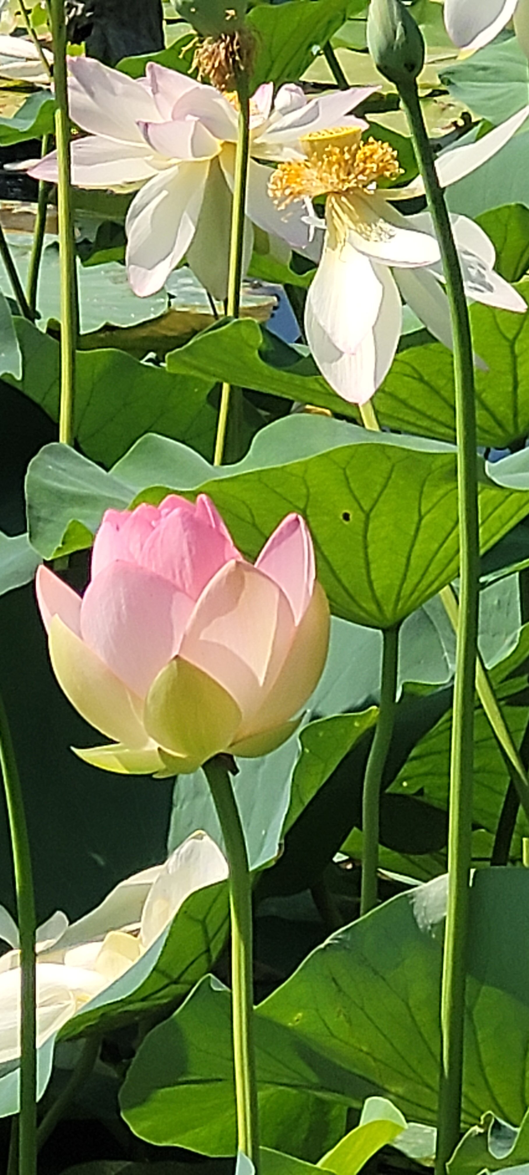 Фото _Zona_Relax_