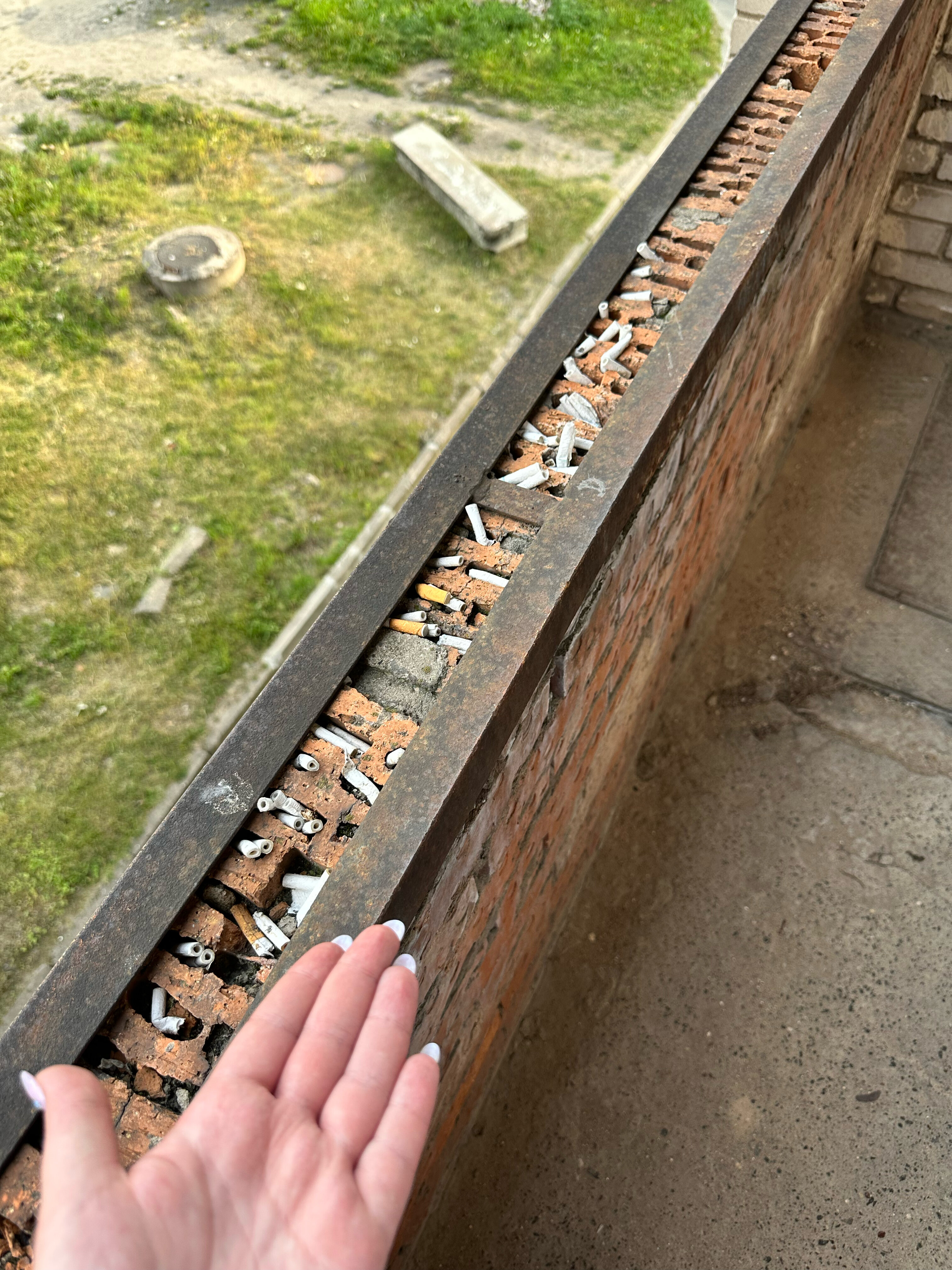 Фото Маршал