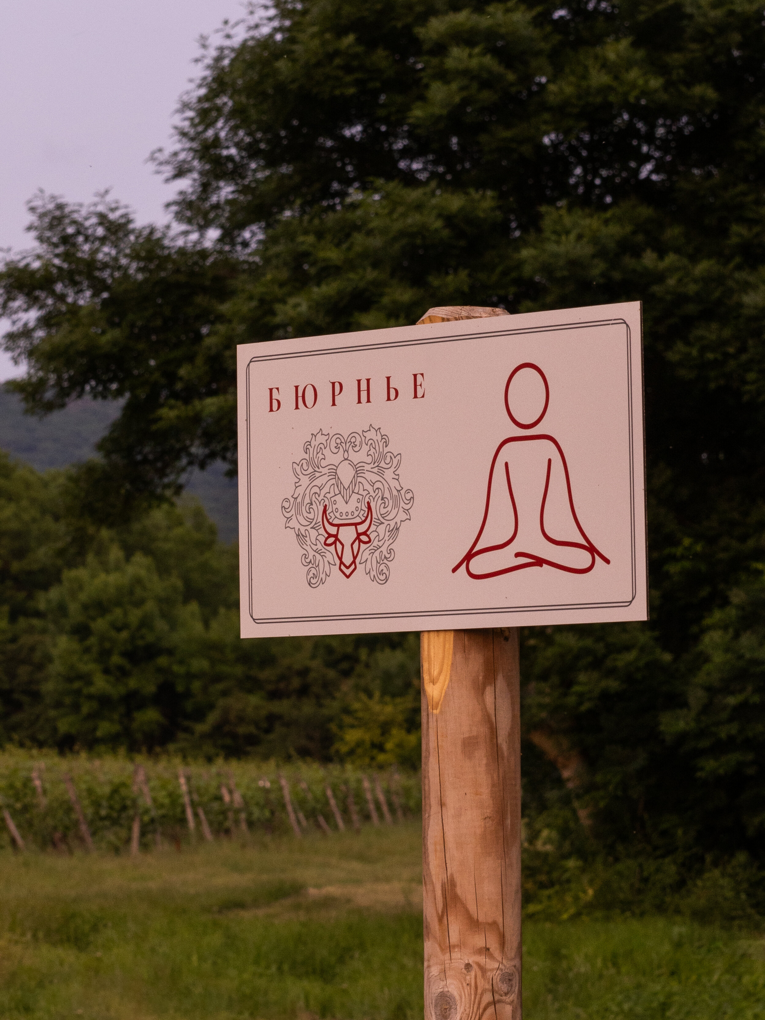 Фото Бюрнье