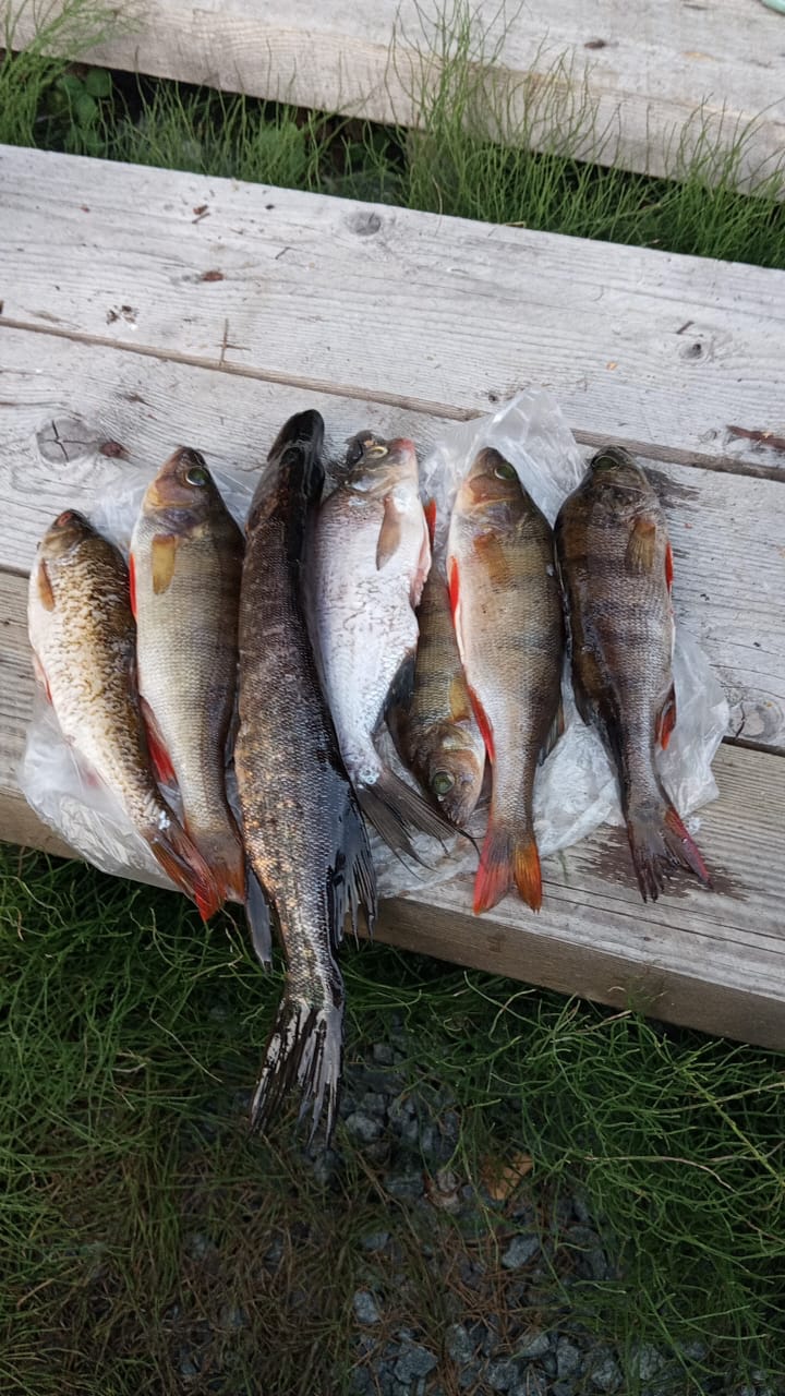 Фото Карельская сказка