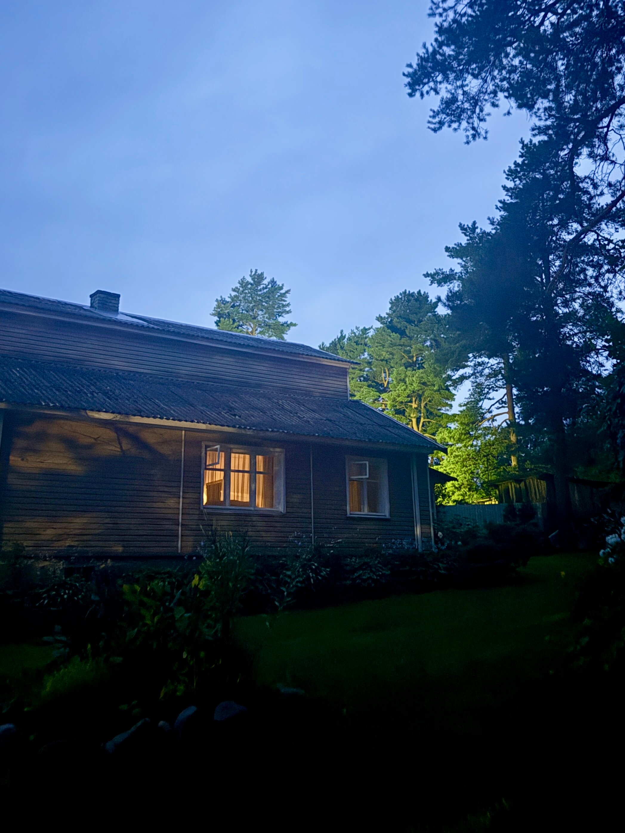 Фото Дом у сосен