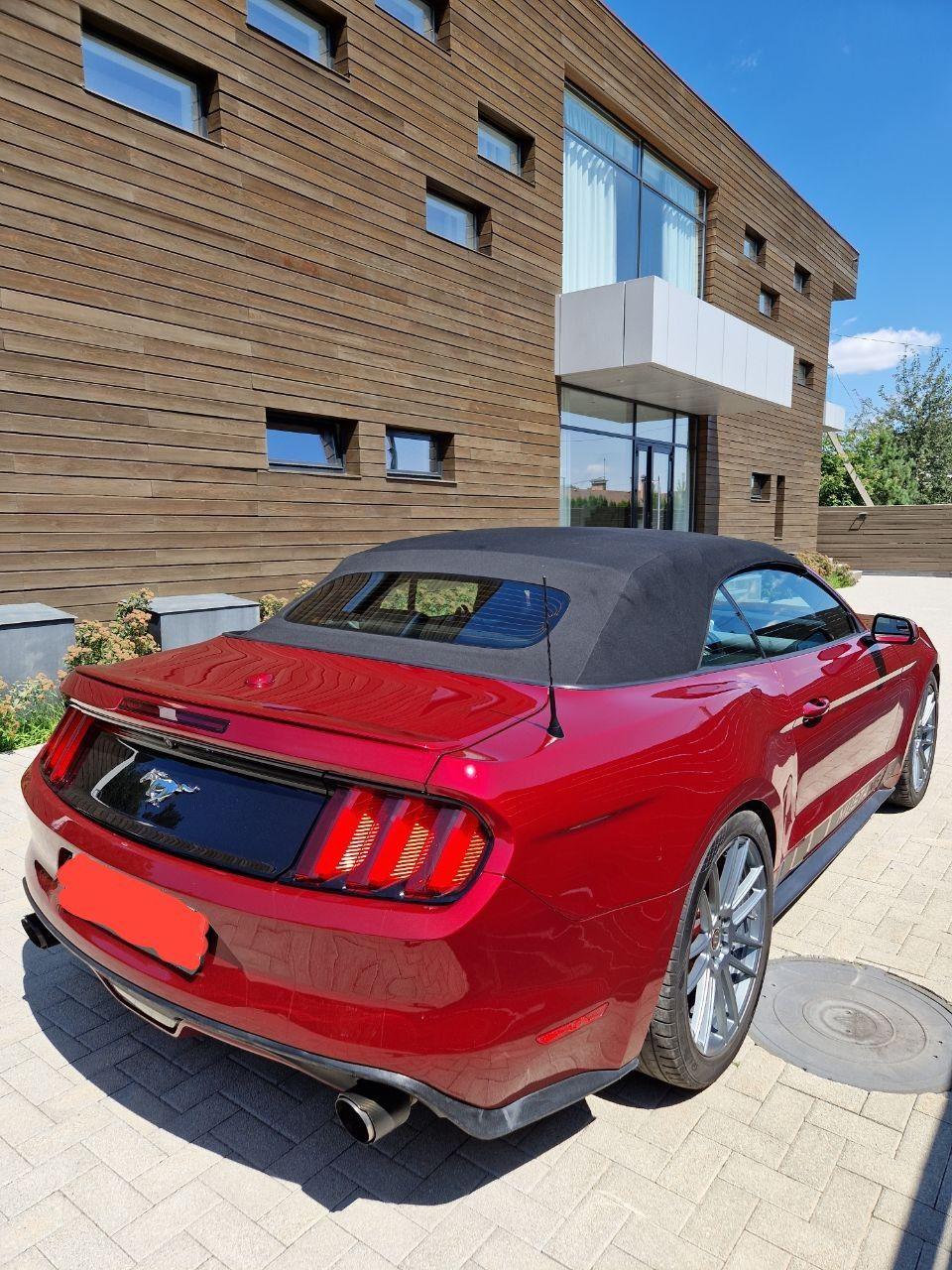 Фото Eco Forrest Club SPA