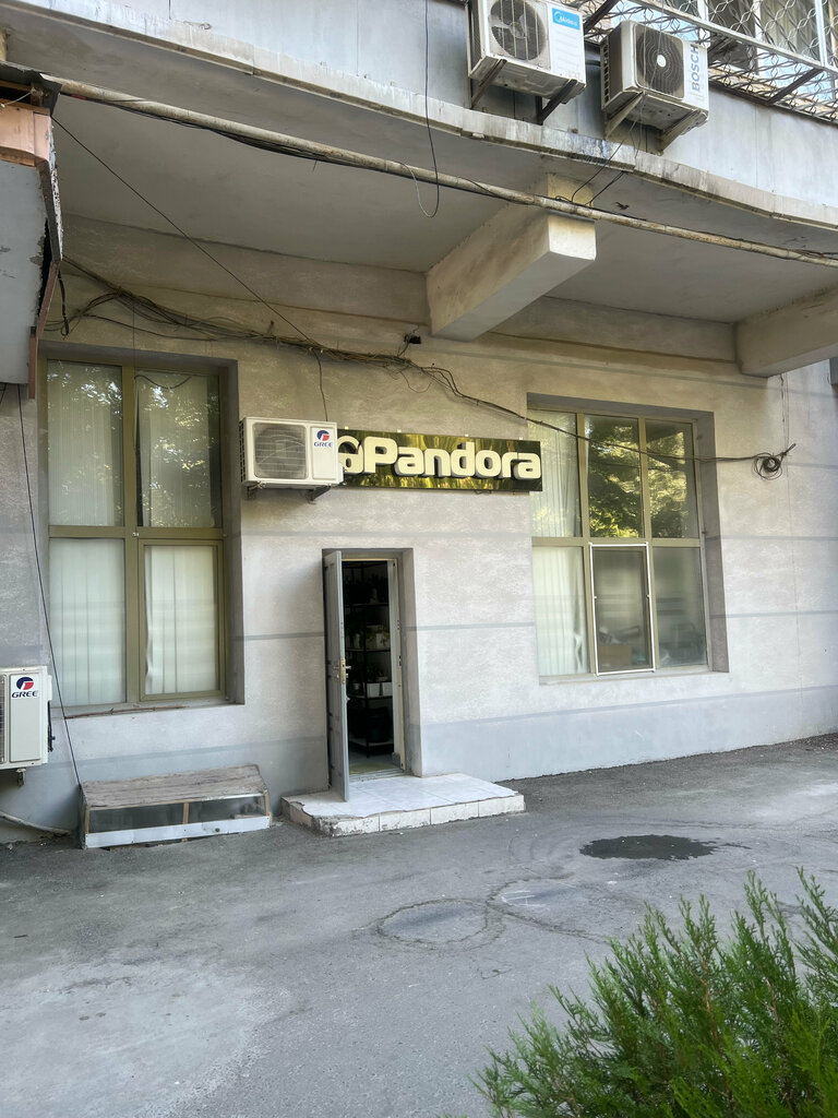 Auto parts and auto goods store Pandora, Tashkent, photo