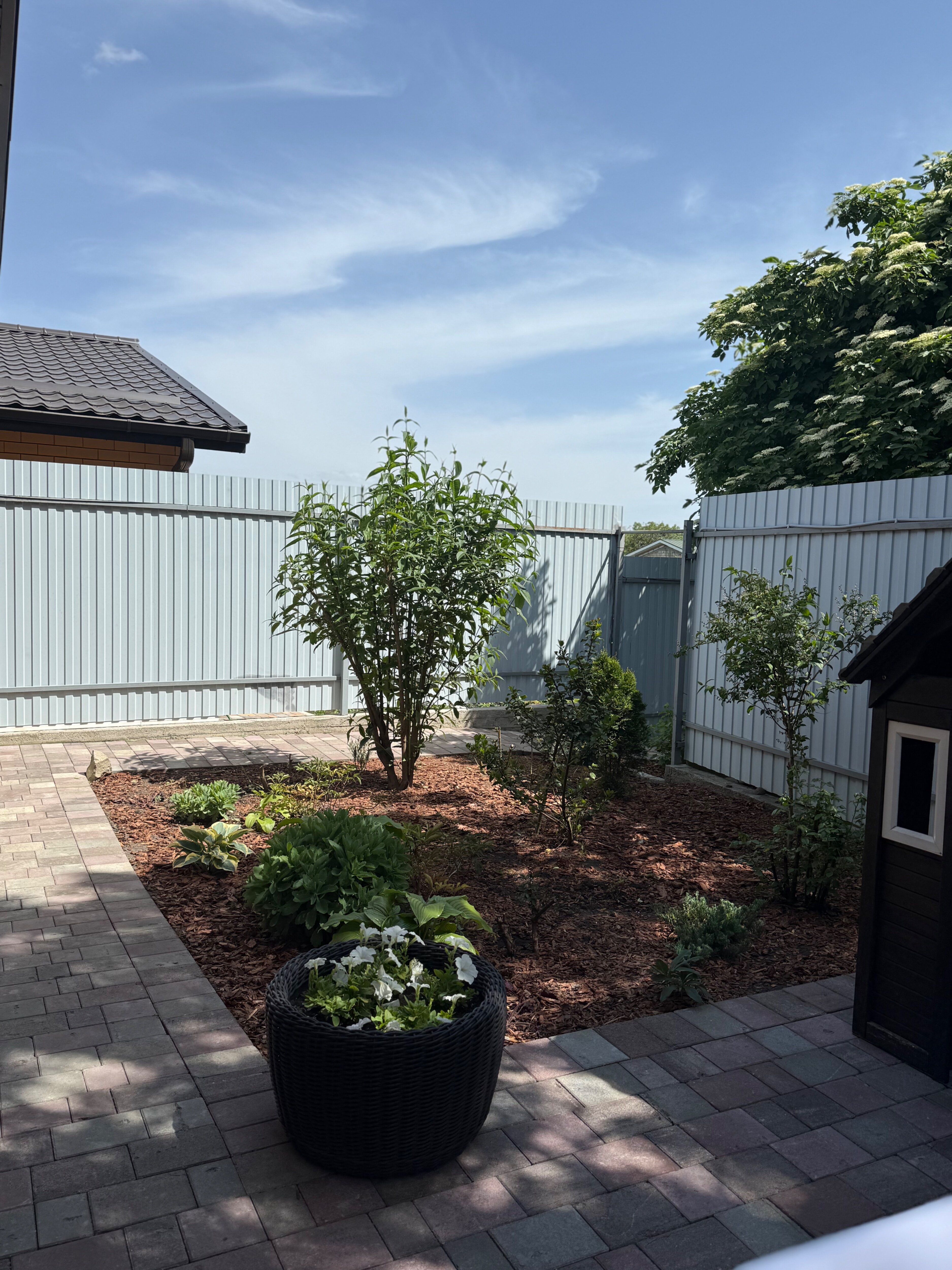 Фото Перельман