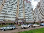 Dogoholics (Geroya Vladislava Posadskogo Street, 40), pet shop
