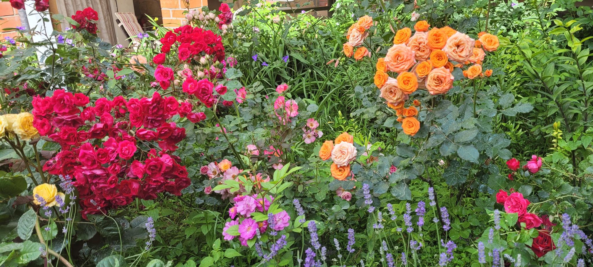 Фото Друзья