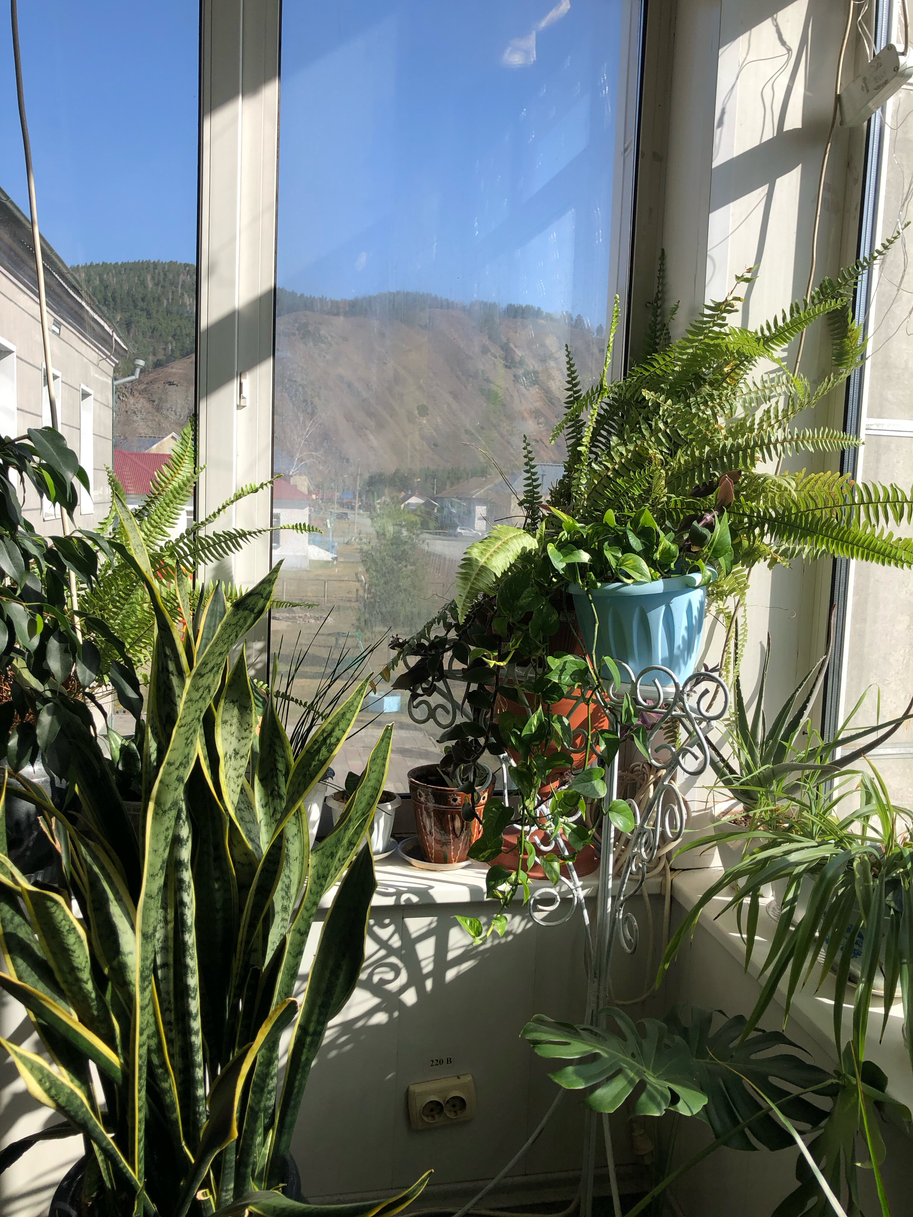 Фото Саянская Благодать