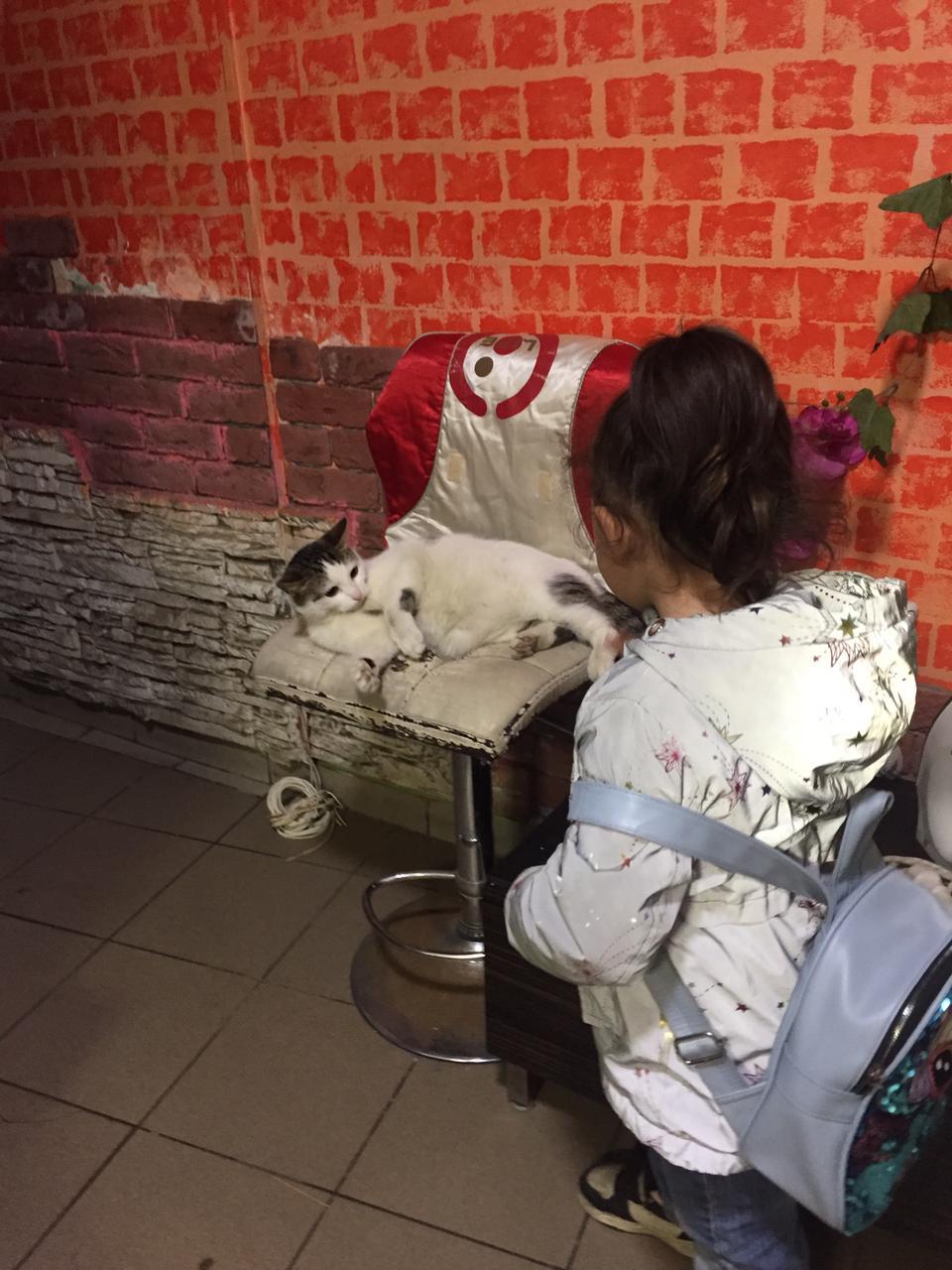 Фото Хостел в центре Петербурга